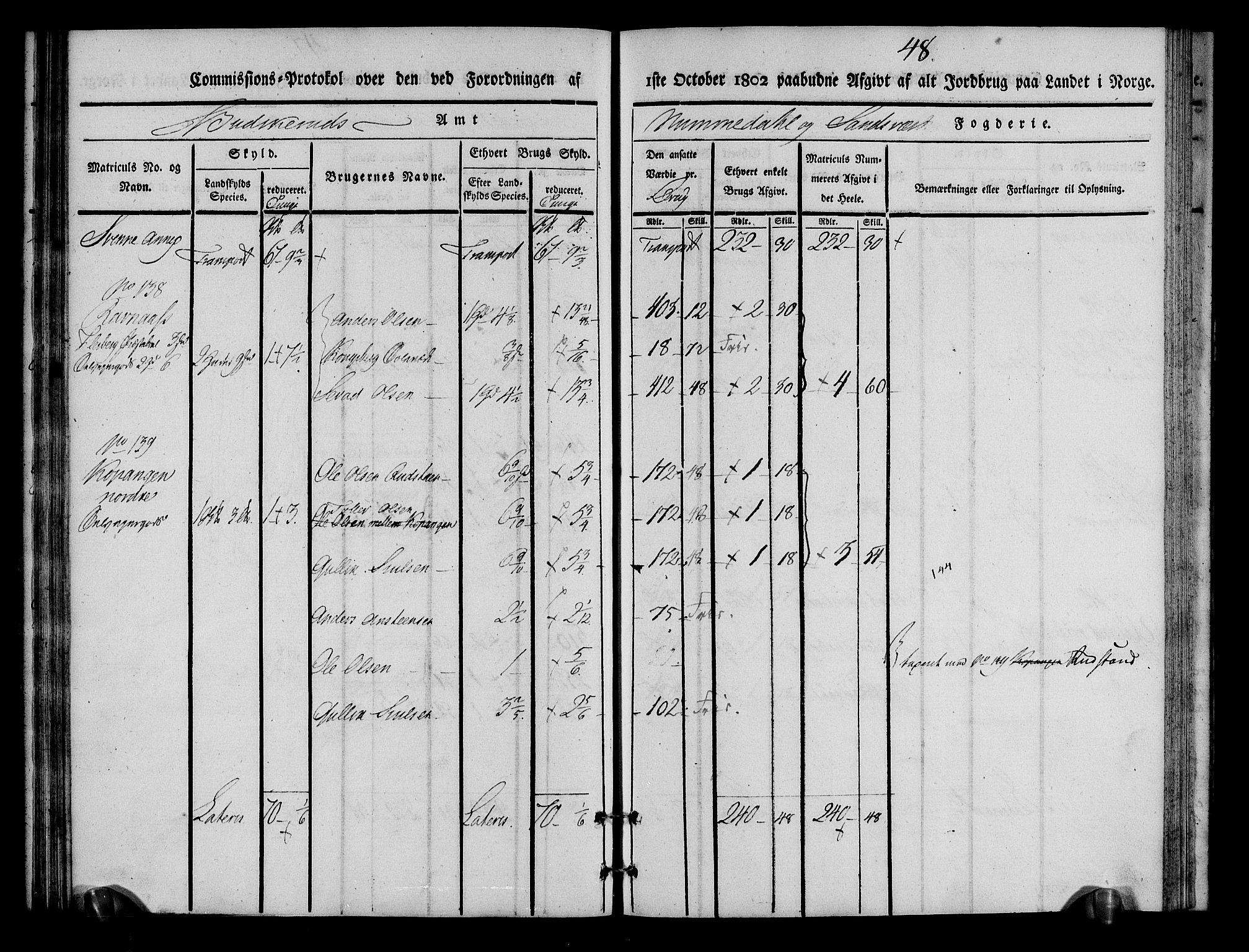 Rentekammeret inntil 1814, Realistisk ordnet avdeling, AV/RA-EA-4070/N/Ne/Nea/L0055: Numedal og Sandsvær fogderi. Kommisjonsprotokoll for Flesberg prestegjeld, 1803, p. 49