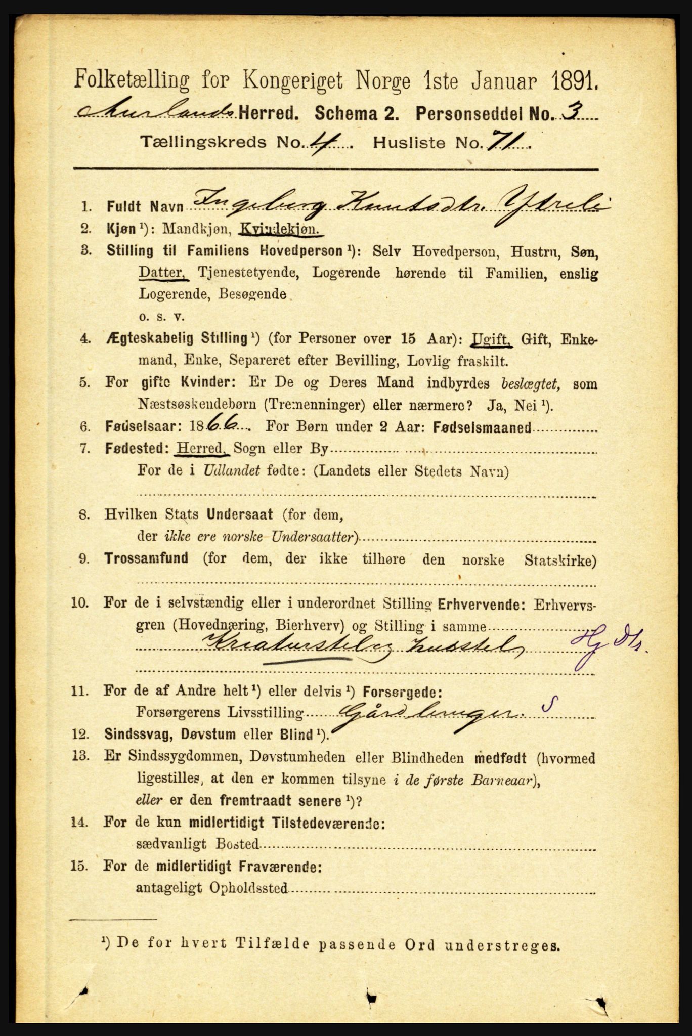 RA, 1891 census for 1421 Aurland, 1891, p. 1704