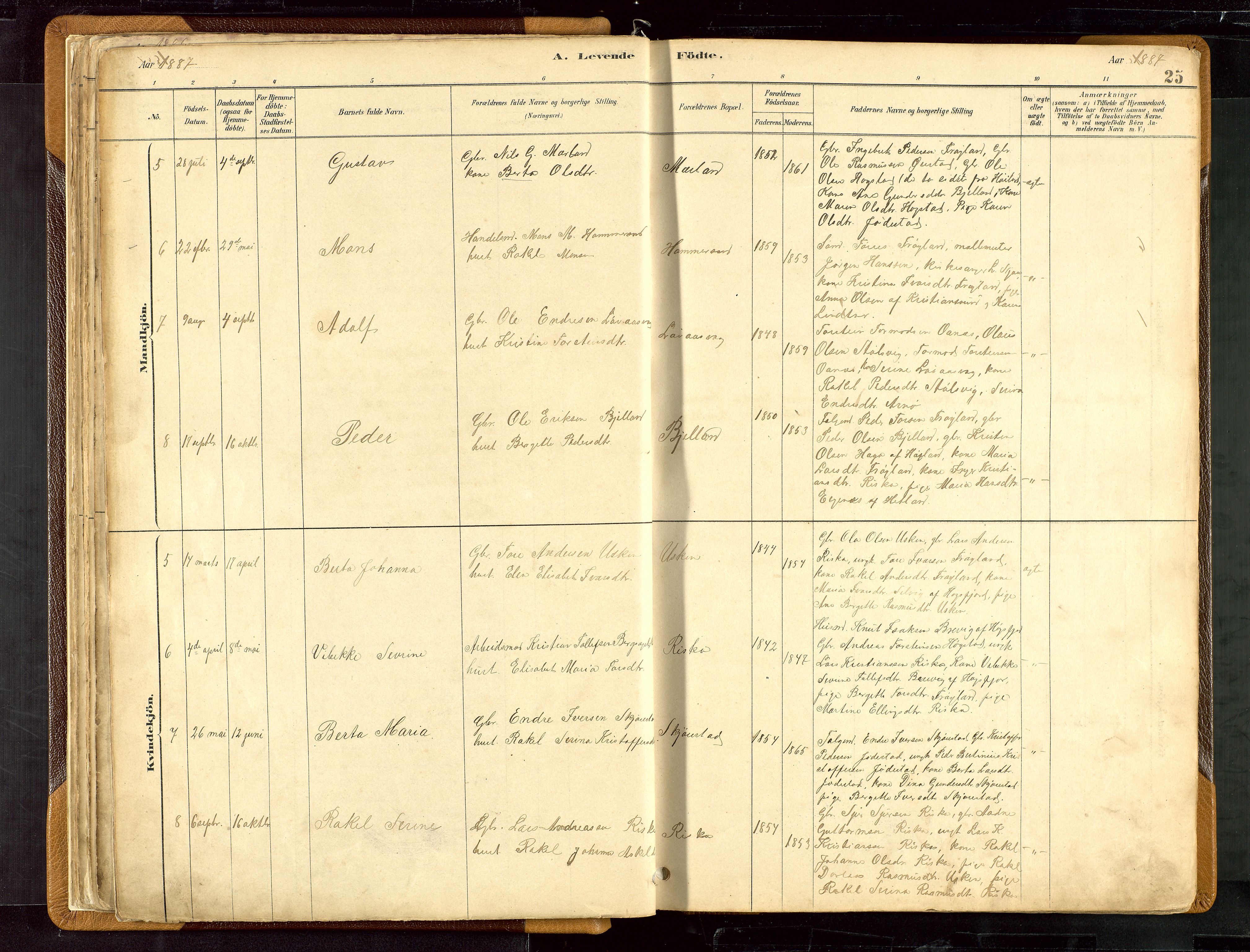 Hetland sokneprestkontor, SAST/A-101826/30/30BB/L0007: Parish register (copy) no. B 7, 1878-1910, p. 25