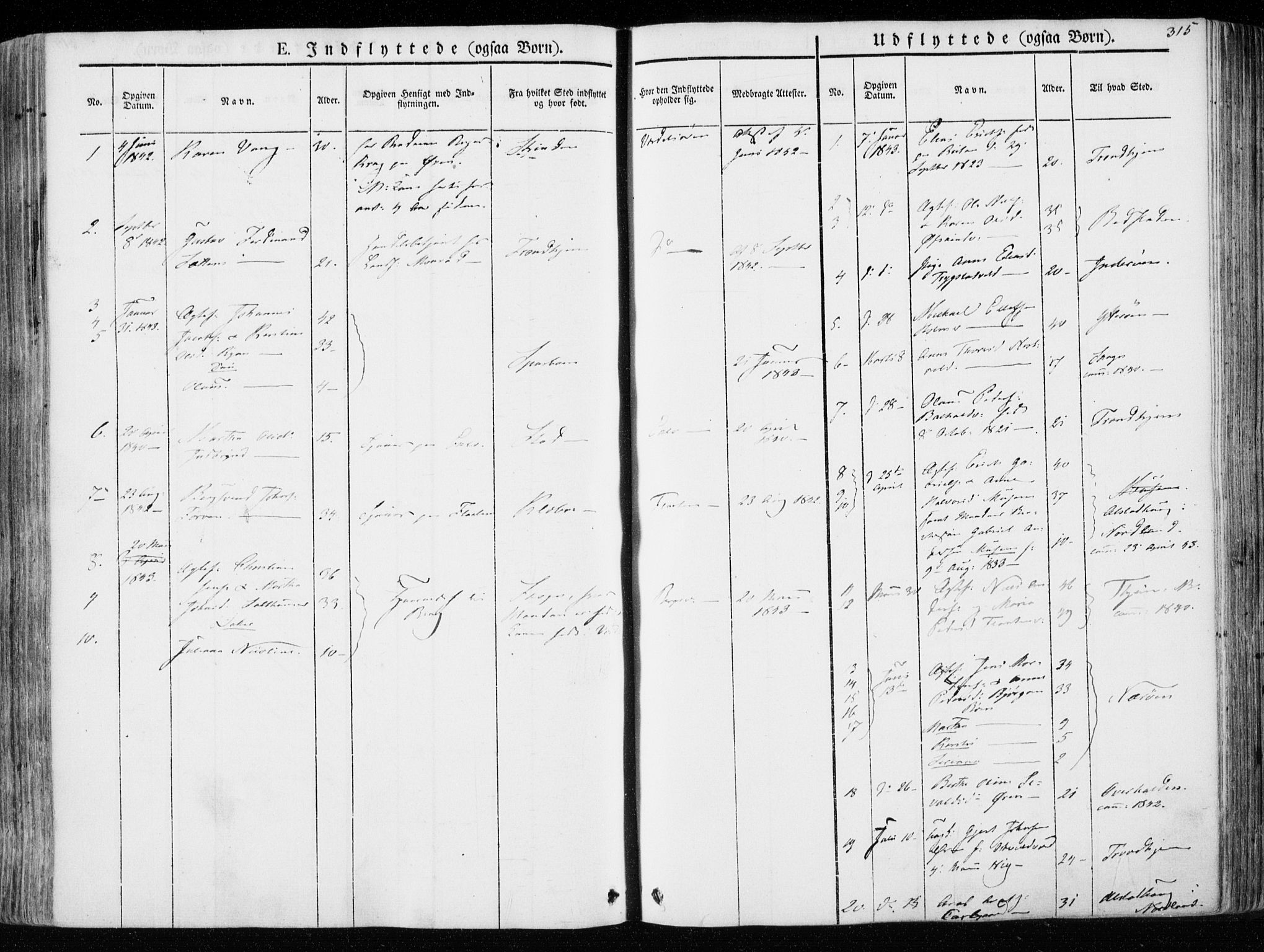 Ministerialprotokoller, klokkerbøker og fødselsregistre - Nord-Trøndelag, AV/SAT-A-1458/723/L0239: Parish register (official) no. 723A08, 1841-1851, p. 315