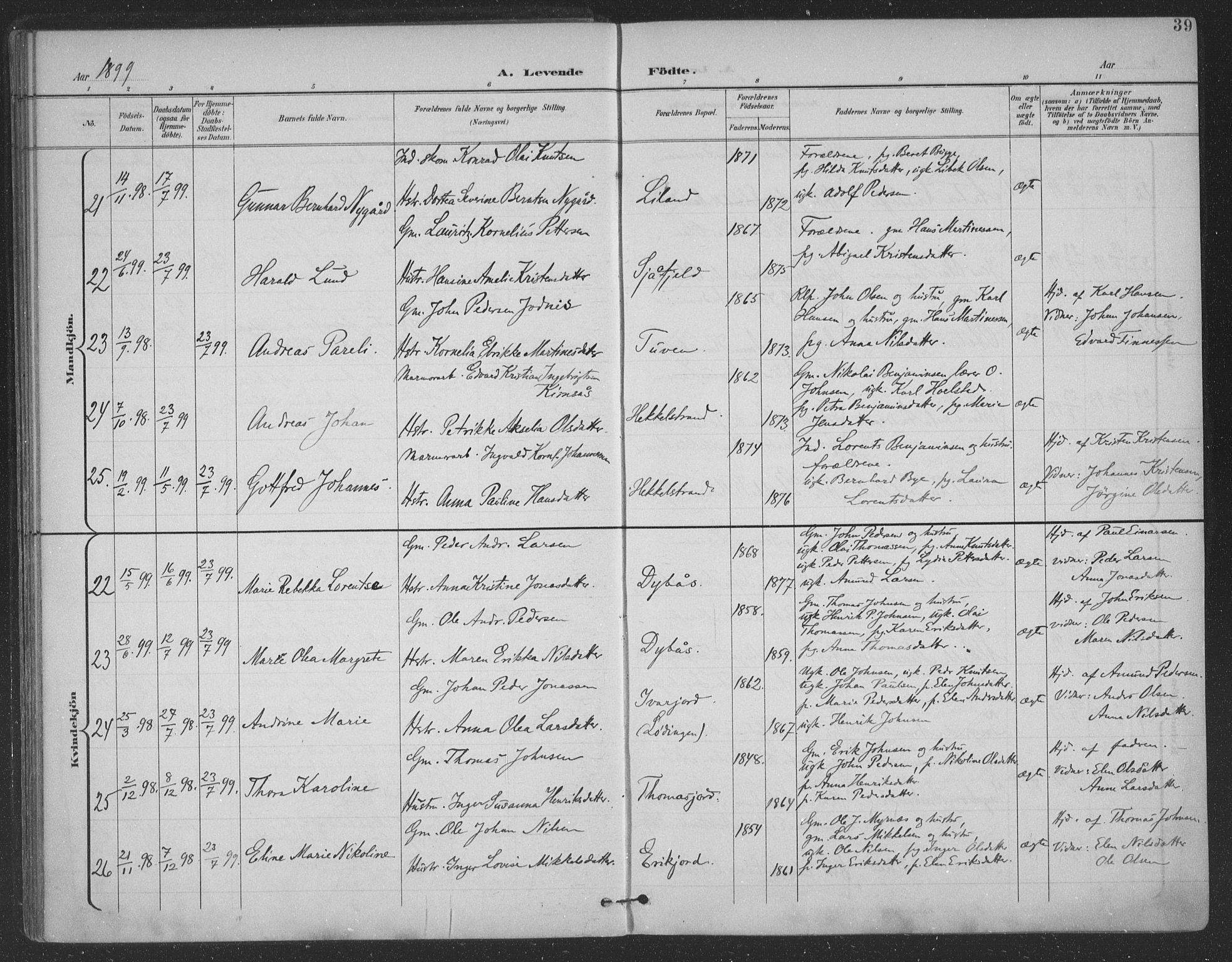 Ministerialprotokoller, klokkerbøker og fødselsregistre - Nordland, AV/SAT-A-1459/863/L0899: Parish register (official) no. 863A11, 1897-1906, p. 39