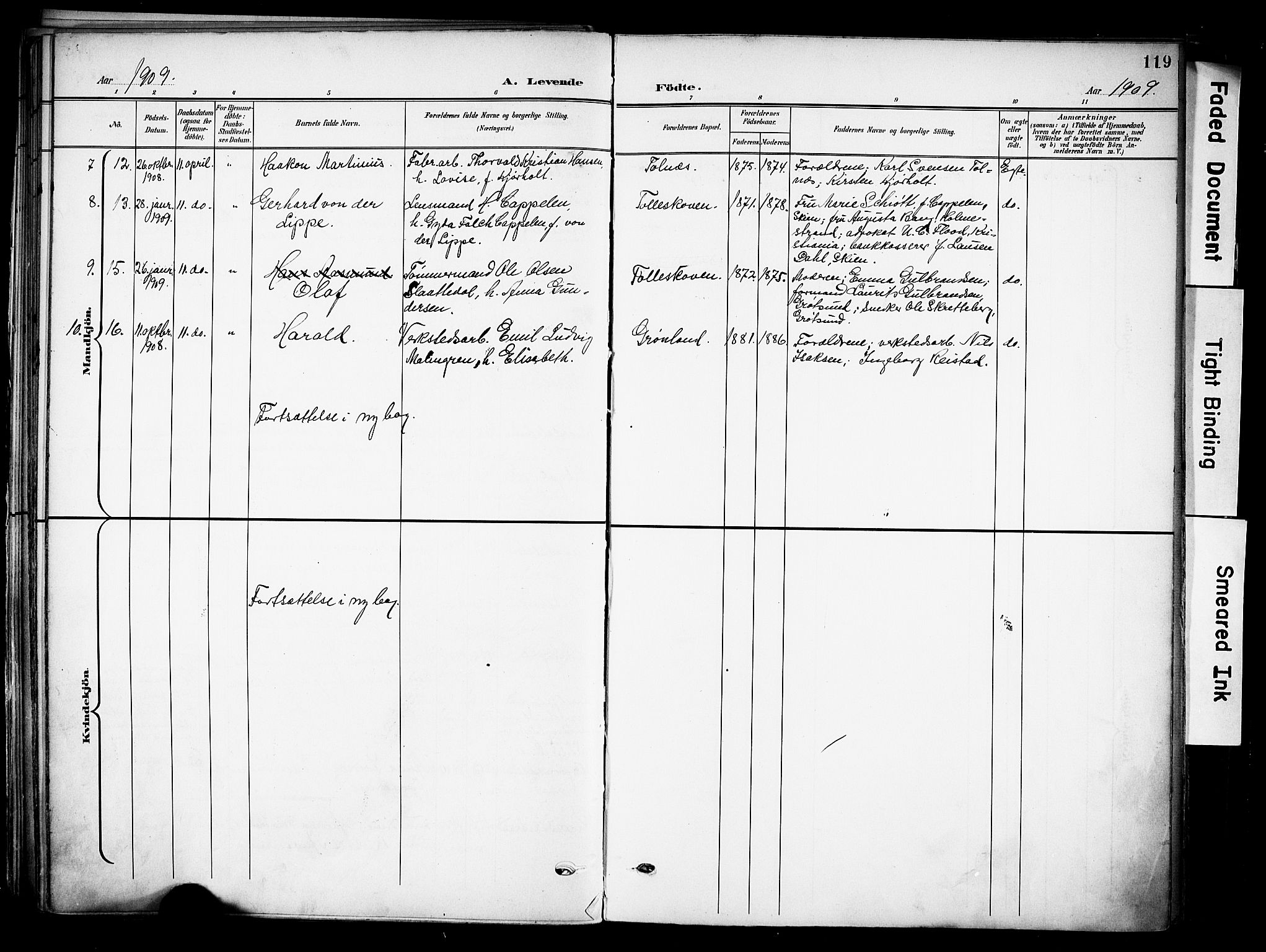 Solum kirkebøker, SAKO/A-306/F/Fa/L0011: Parish register (official) no. I 11, 1898-1909, p. 119