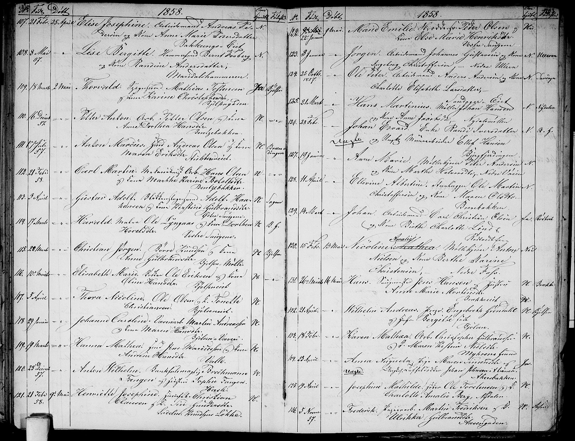 Aker prestekontor kirkebøker, AV/SAO-A-10861/G/L0010: Parish register (copy) no. 10, 1852-1859, p. 202-203