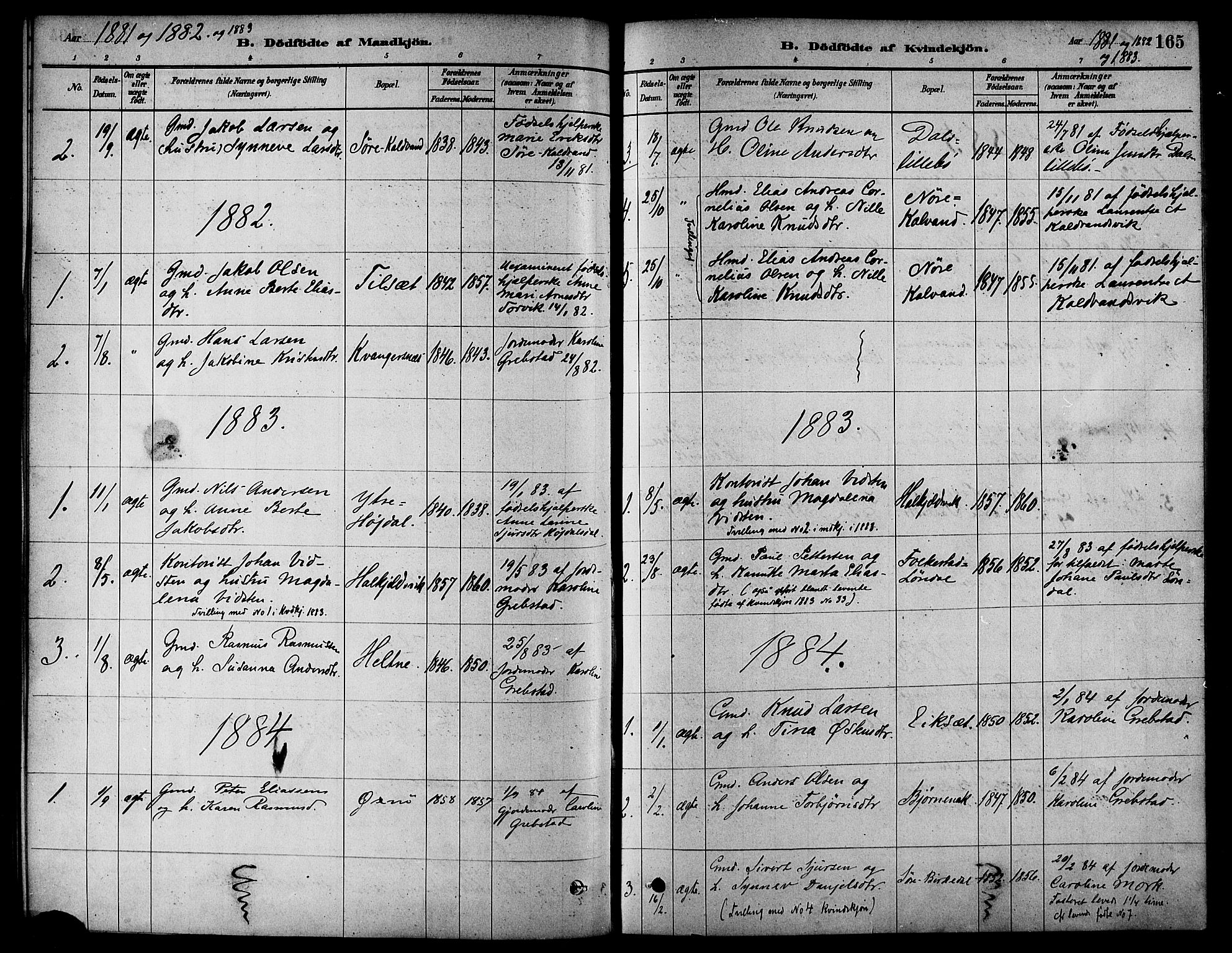 Ministerialprotokoller, klokkerbøker og fødselsregistre - Møre og Romsdal, AV/SAT-A-1454/511/L0141: Parish register (official) no. 511A08, 1878-1890, p. 165