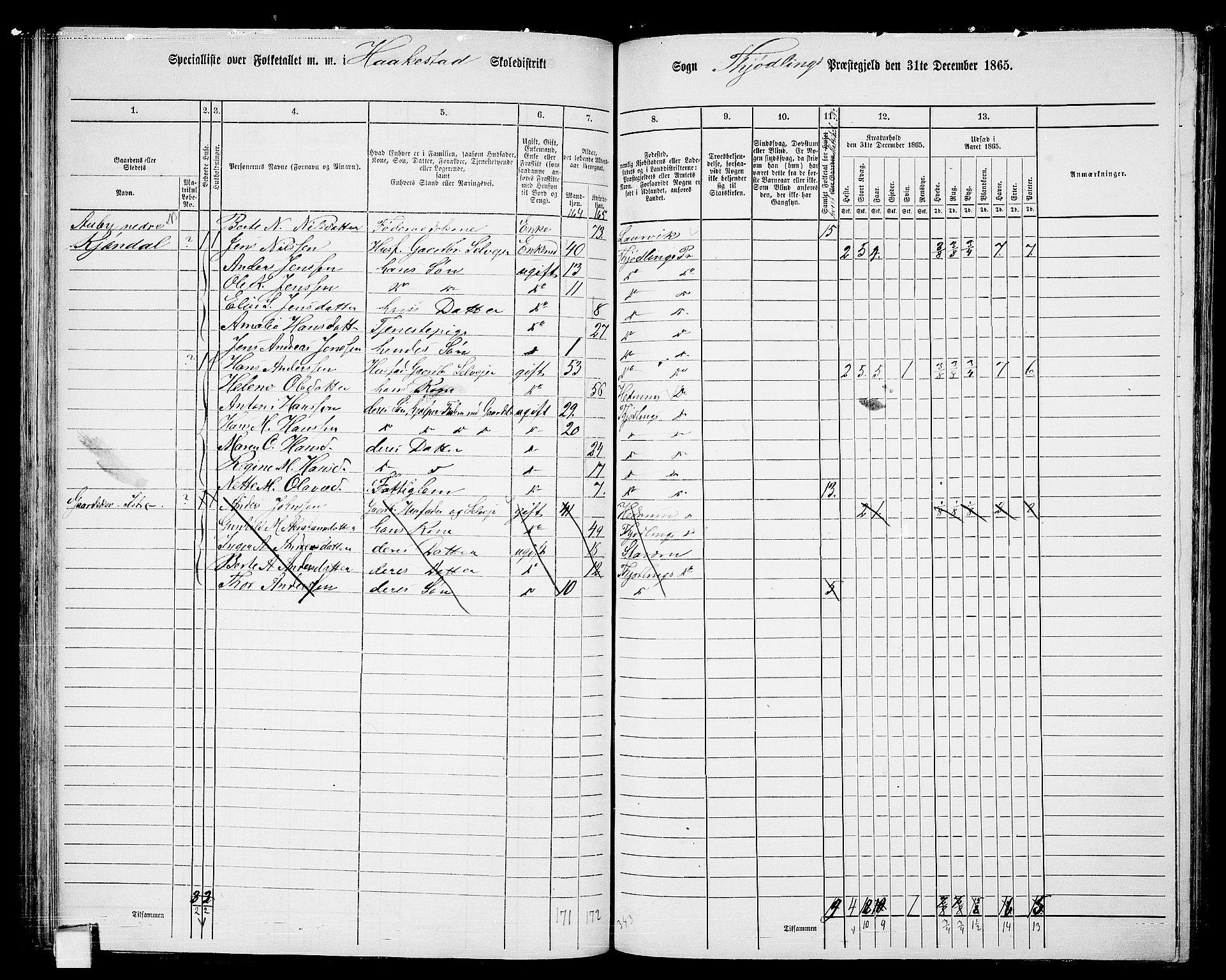 RA, 1865 census for Tjølling, 1865, p. 88