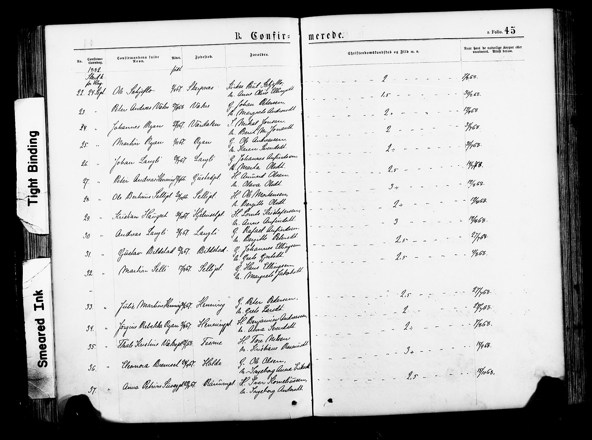 Ministerialprotokoller, klokkerbøker og fødselsregistre - Nord-Trøndelag, AV/SAT-A-1458/735/L0348: Parish register (official) no. 735A09 /1, 1873-1883, p. 45