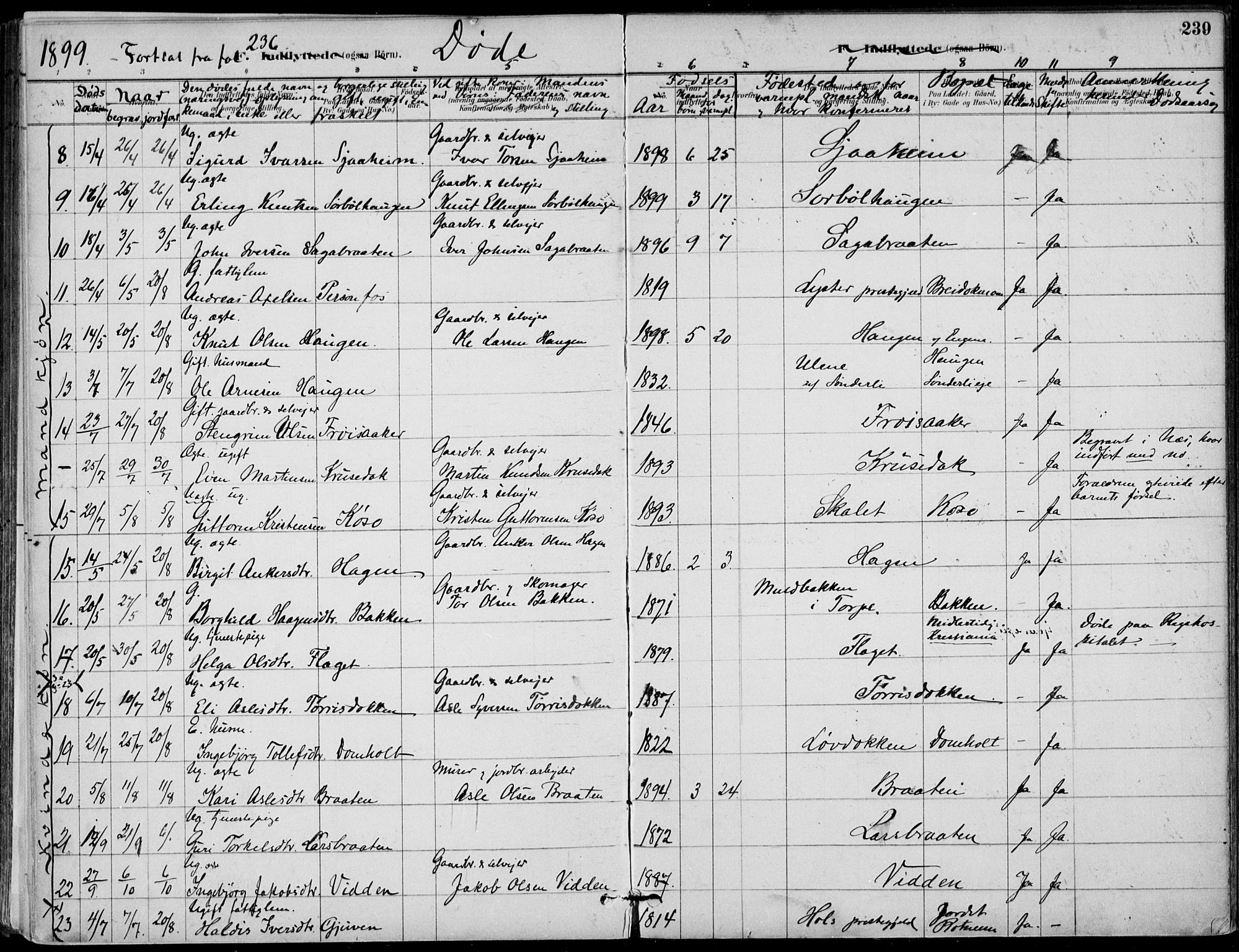 Gol kirkebøker, AV/SAKO-A-226/F/Fa/L0005: Parish register (official) no. I 5, 1887-1900, p. 239