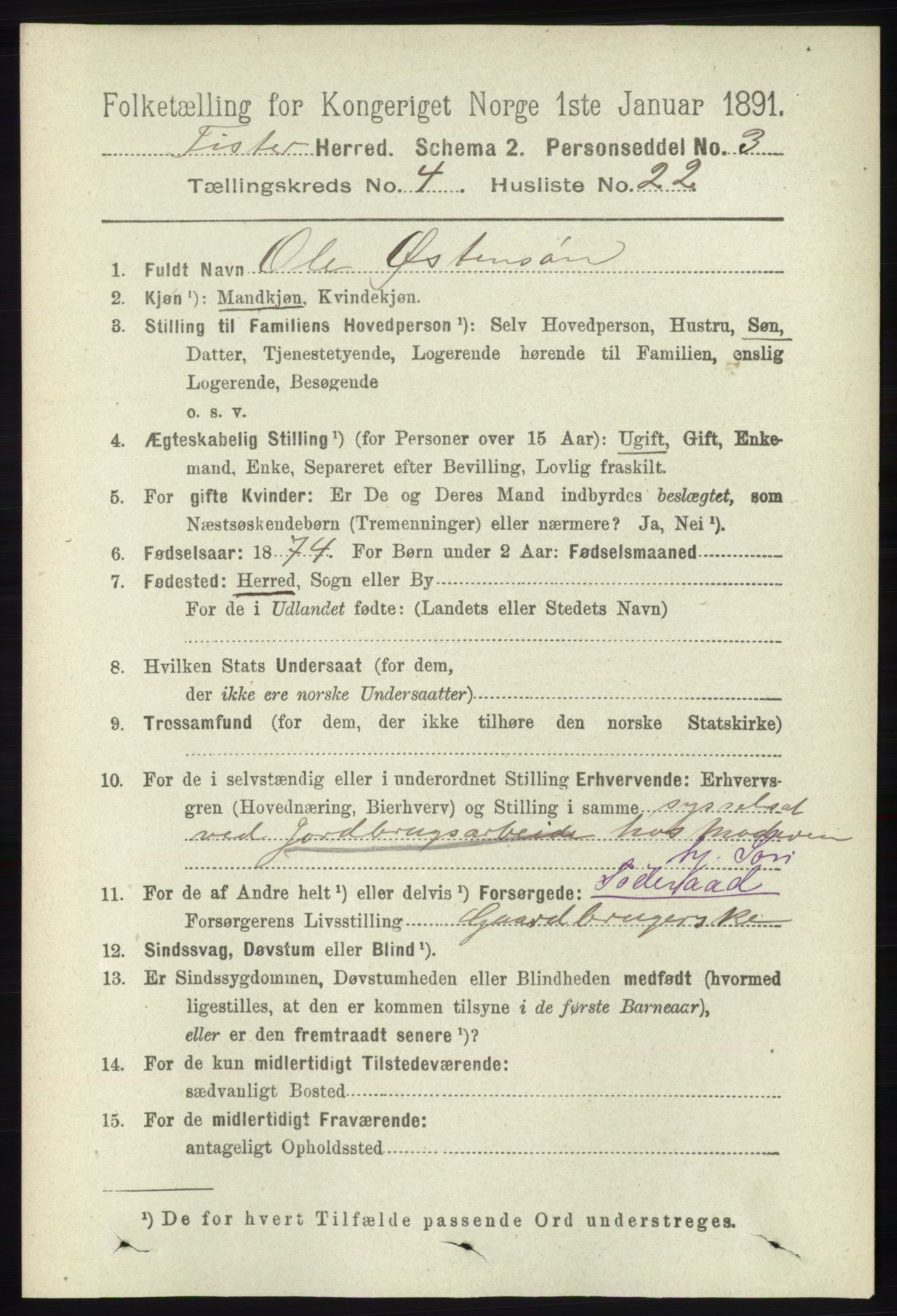 RA, 1891 census for 1132 Fister, 1891, p. 980