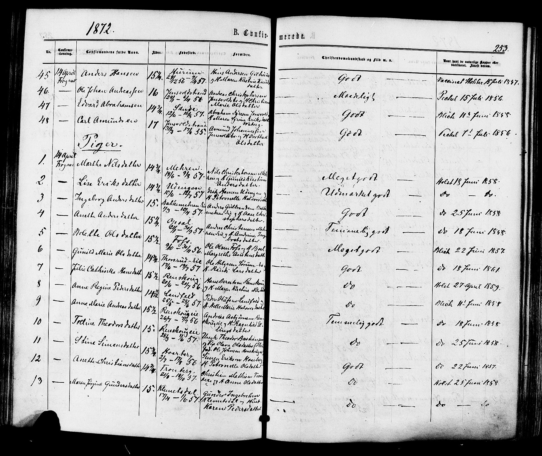 Lier kirkebøker, AV/SAKO-A-230/F/Fa/L0013: Parish register (official) no. I 13, 1865-1874, p. 253