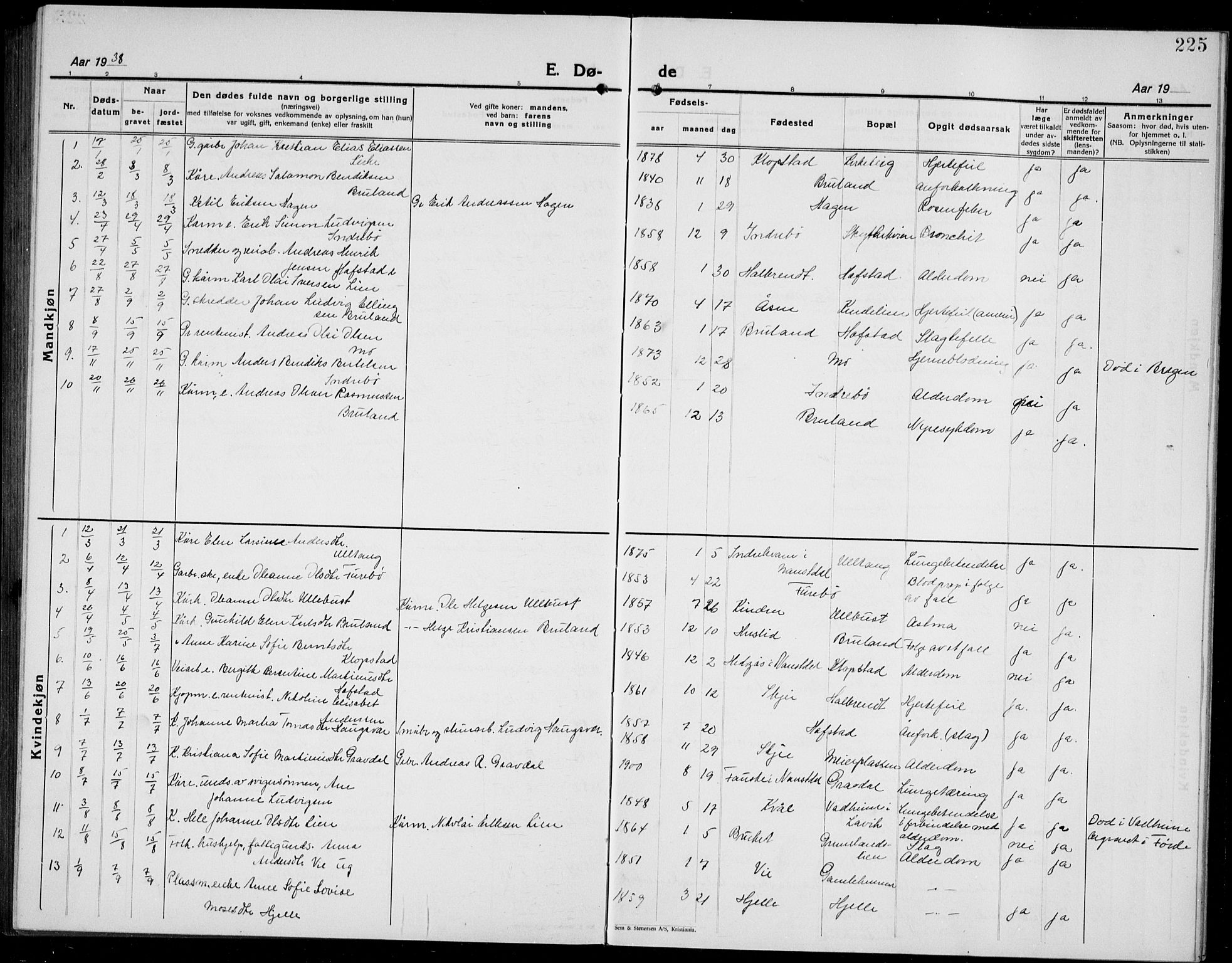 Førde sokneprestembete, SAB/A-79901/H/Hab/Haba/L0004: Parish register (copy) no. A 4, 1924-1941, p. 225