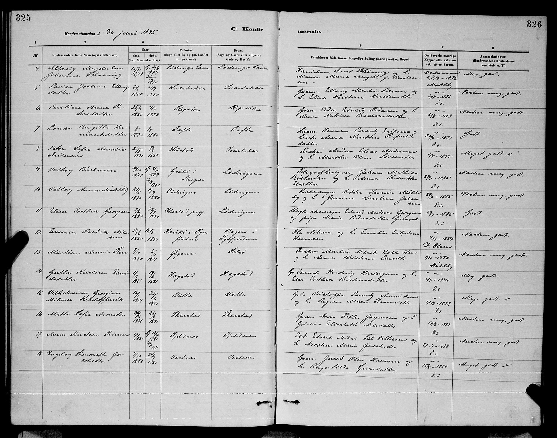 Ministerialprotokoller, klokkerbøker og fødselsregistre - Nordland, AV/SAT-A-1459/872/L1047: Parish register (copy) no. 872C03, 1880-1897, p. 325-326