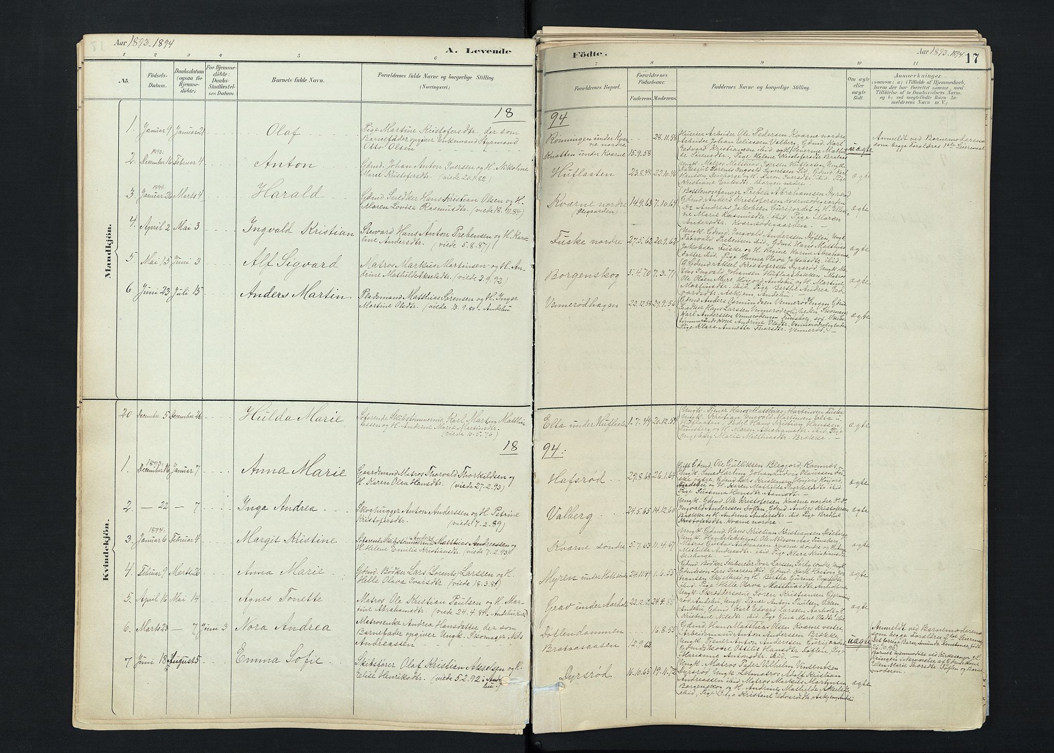 Stokke kirkebøker, SAKO/A-320/F/Fc/L0001: Parish register (official) no. III 1, 1884-1910, p. 17
