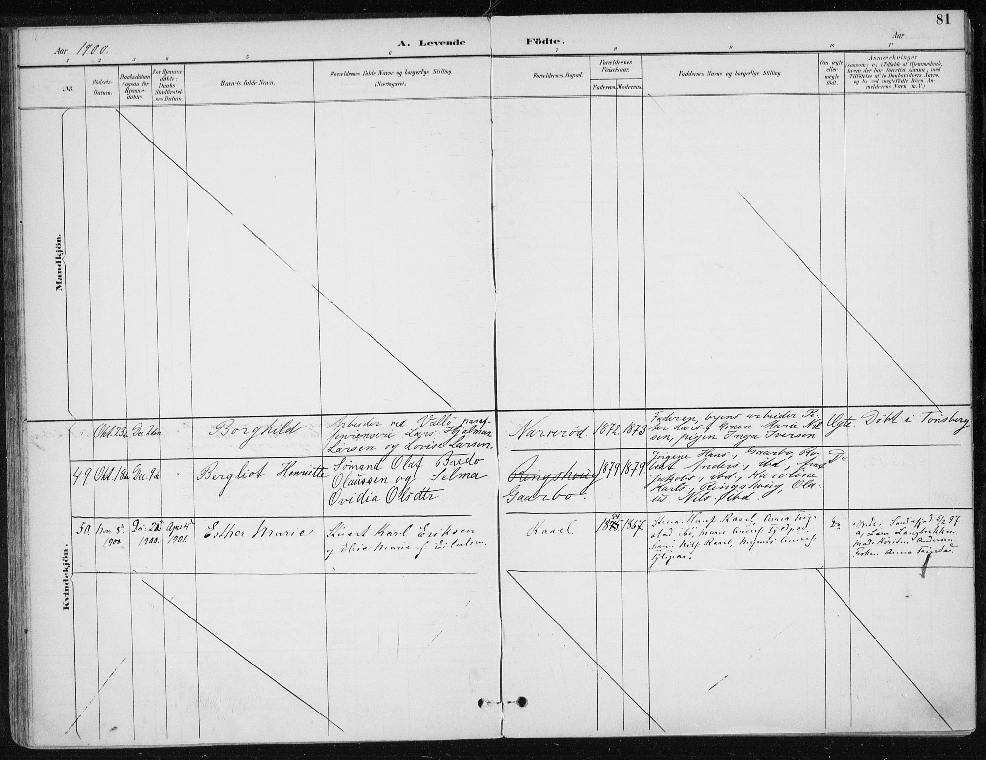 Sem kirkebøker, AV/SAKO-A-5/F/Fb/L0005: Parish register (official) no. II 5, 1892-1904, p. 81