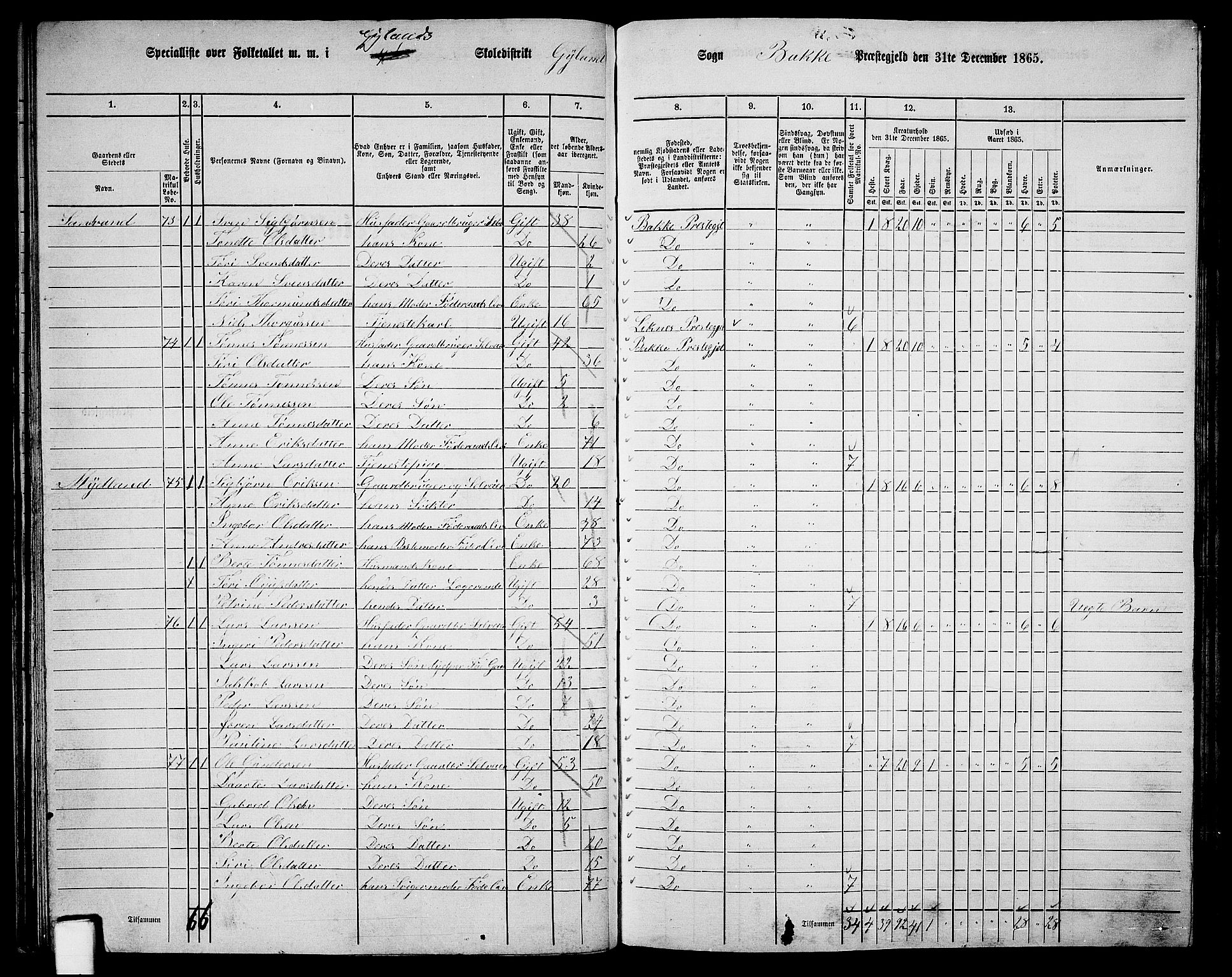 RA, 1865 census for Bakke, 1865, p. 39