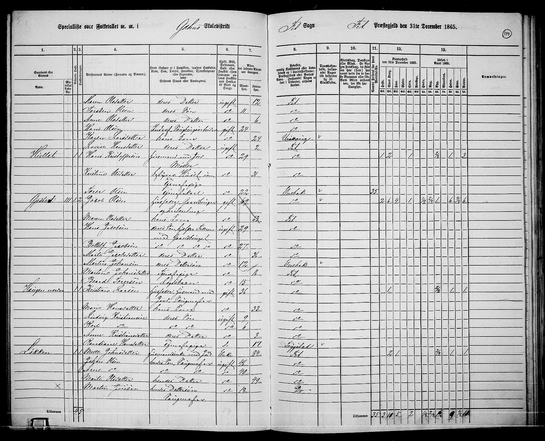 RA, 1865 census for Fet, 1865, p. 111