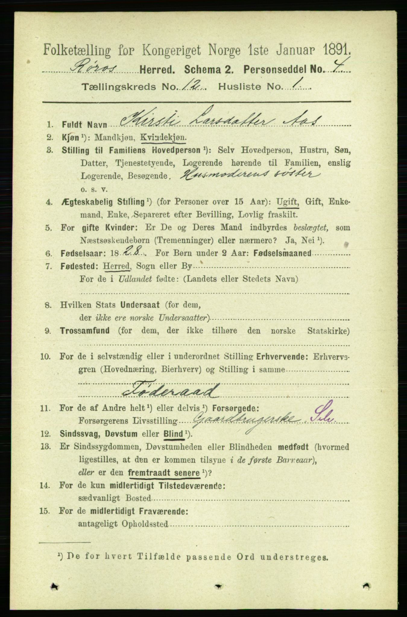 RA, 1891 census for 1640 Røros, 1891, p. 2372