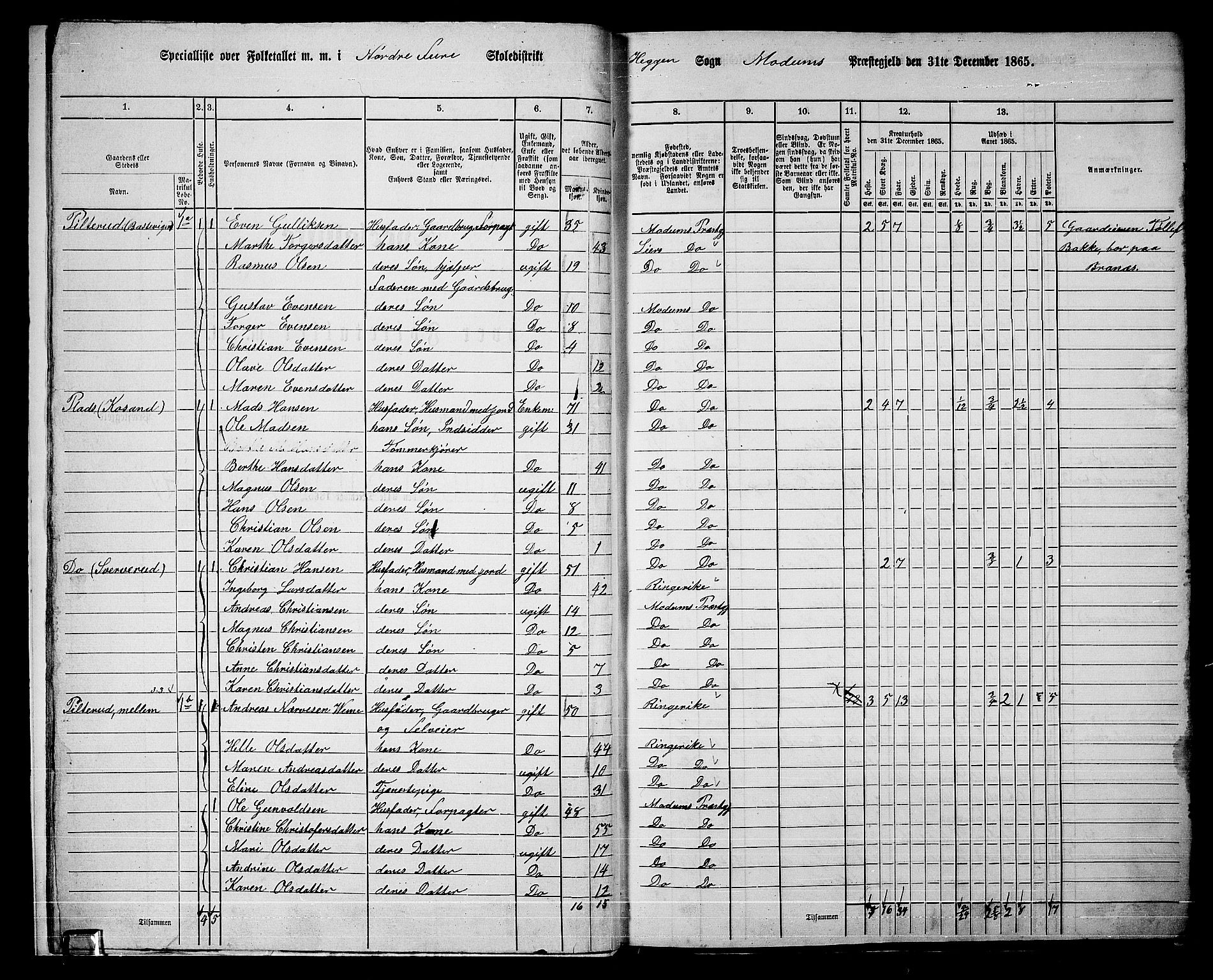 RA, 1865 census for Modum, 1865, p. 18