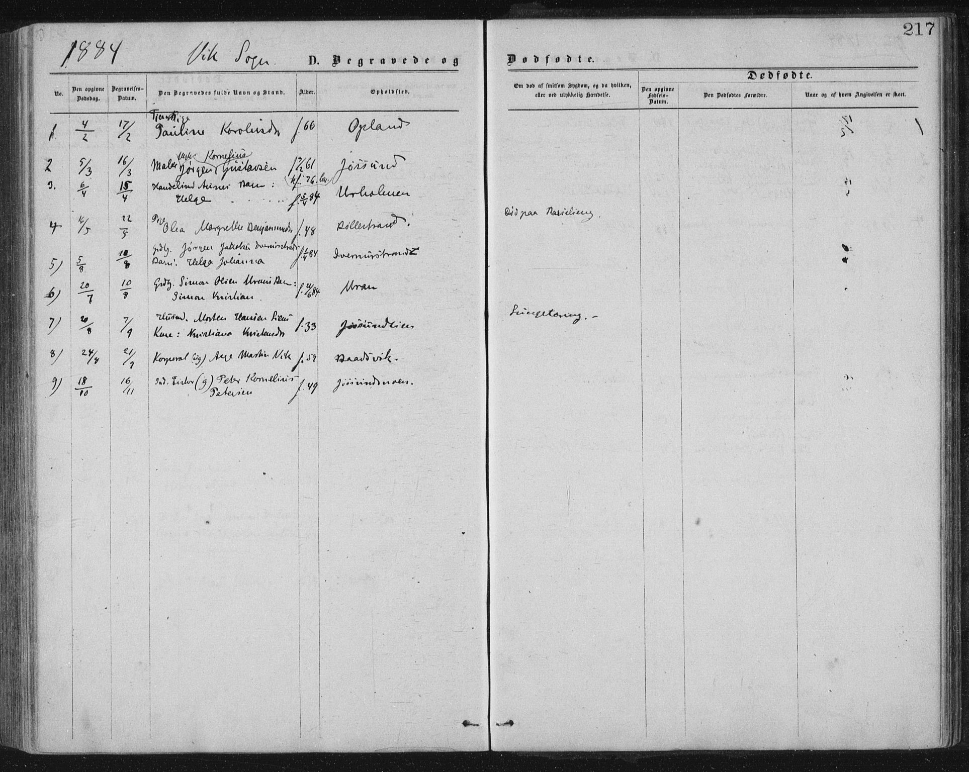 Ministerialprotokoller, klokkerbøker og fødselsregistre - Nord-Trøndelag, SAT/A-1458/771/L0596: Parish register (official) no. 771A03, 1870-1884, p. 217