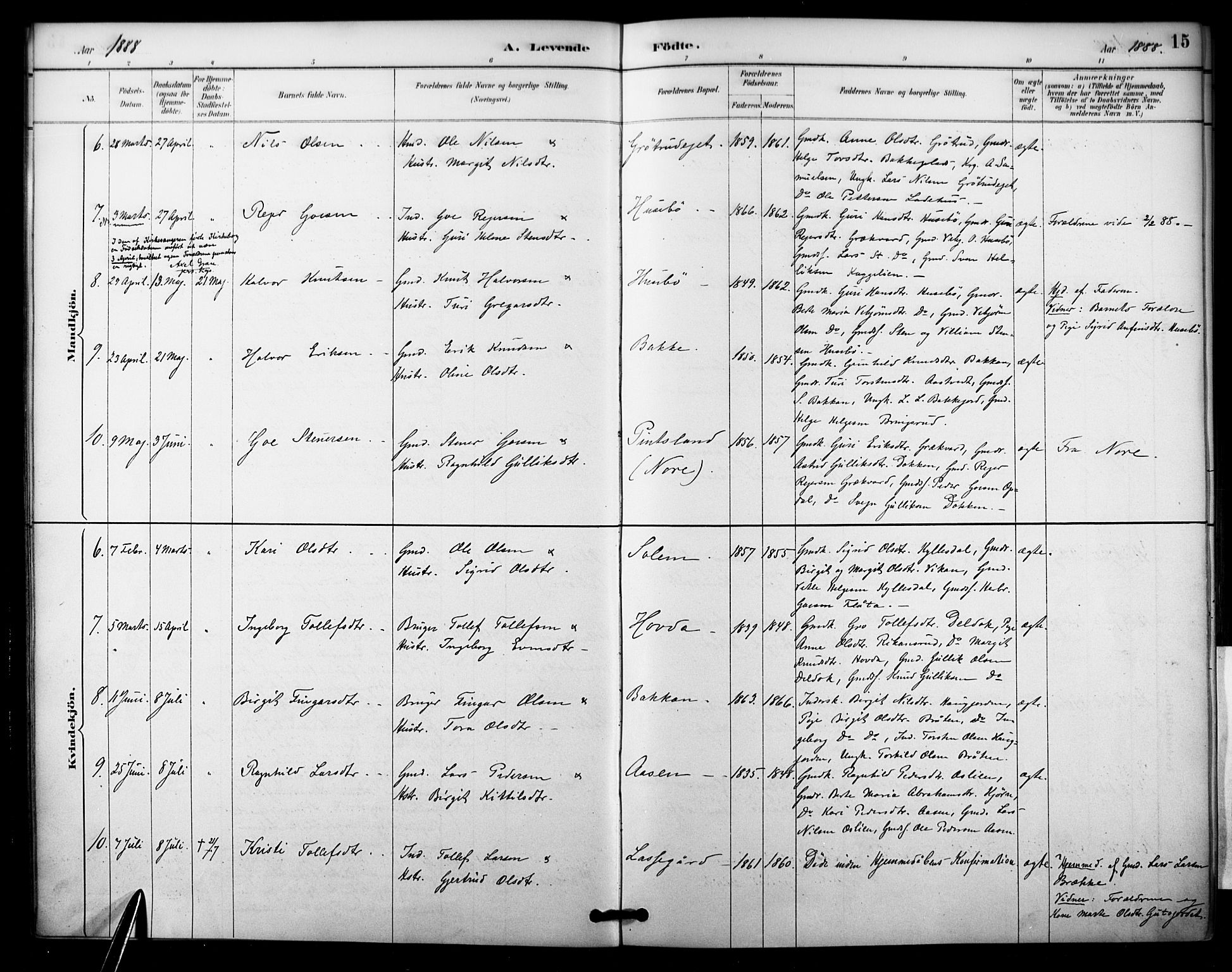 Nore kirkebøker, SAKO/A-238/F/Fc/L0004: Parish register (official) no. III 4, 1885-1898, p. 15