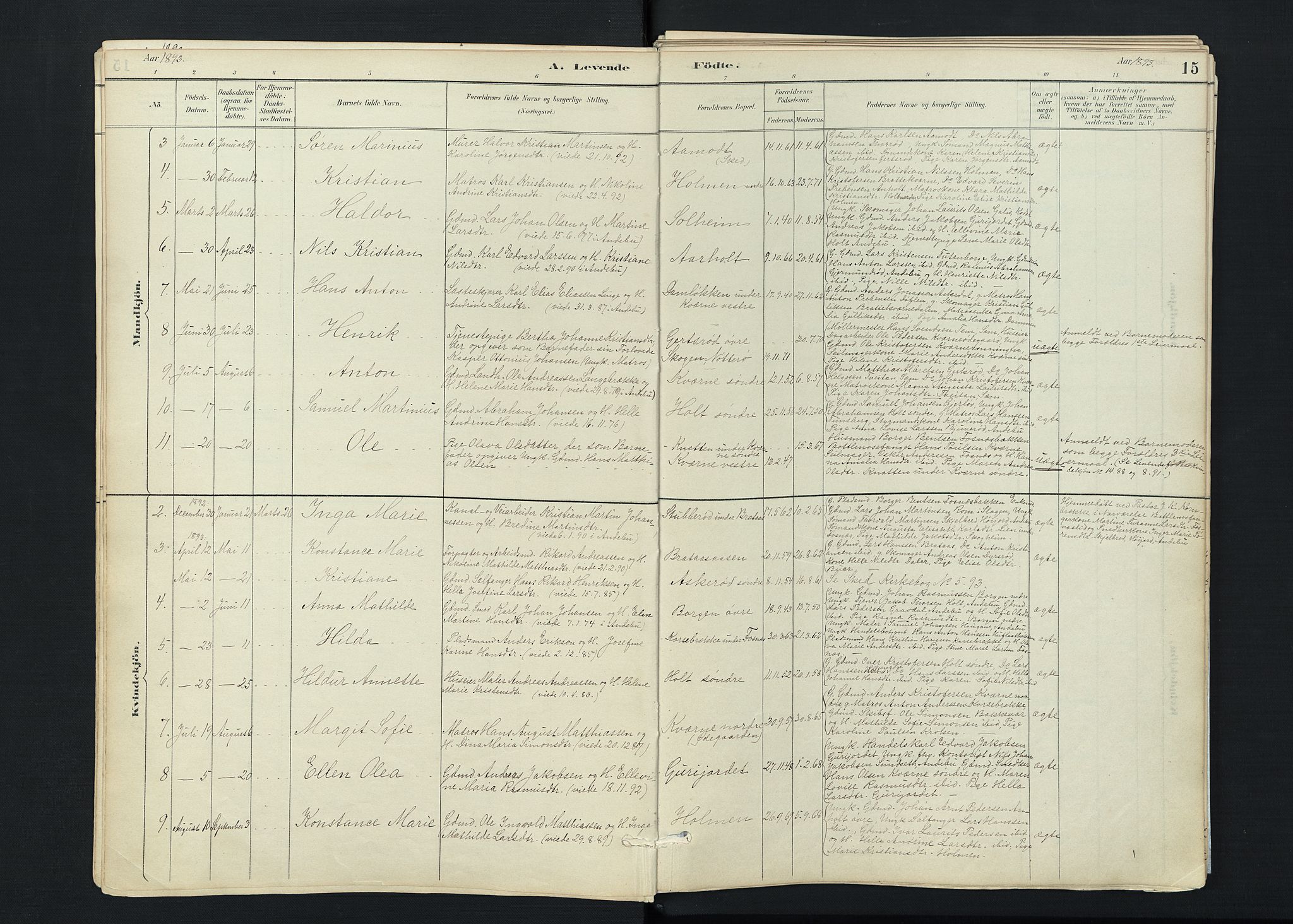 Stokke kirkebøker, AV/SAKO-A-320/F/Fc/L0001: Parish register (official) no. III 1, 1884-1910, p. 15