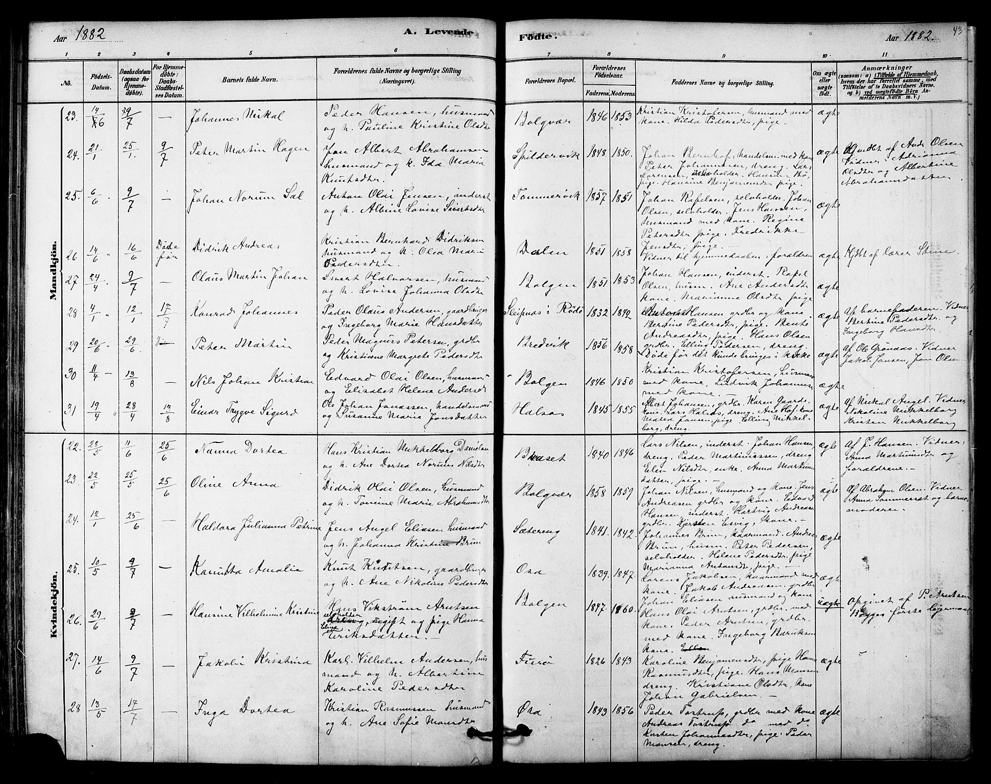 Ministerialprotokoller, klokkerbøker og fødselsregistre - Nordland, SAT/A-1459/843/L0626: Parish register (official) no. 843A01, 1878-1907, p. 43