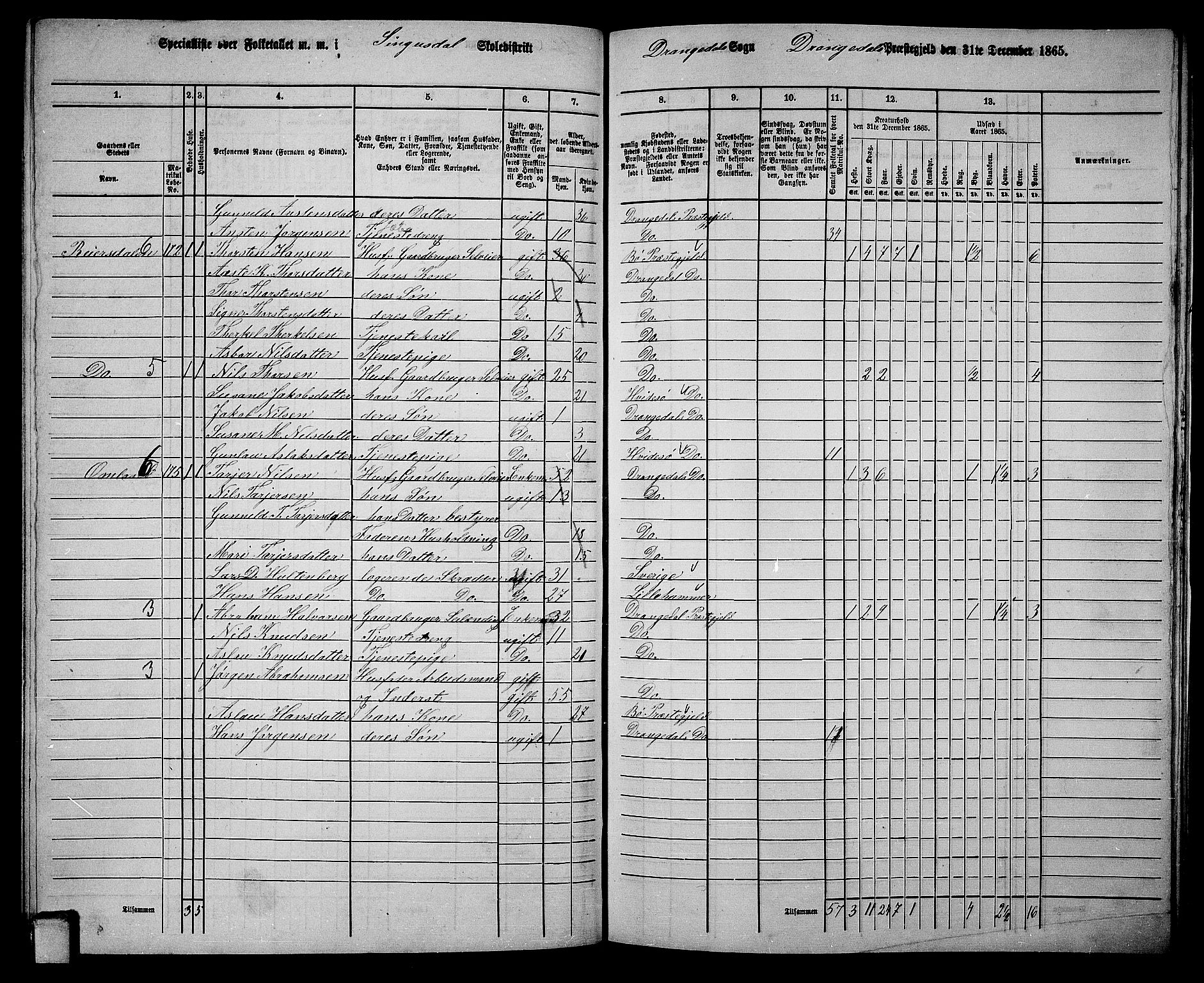 RA, 1865 census for Drangedal, 1865, p. 96