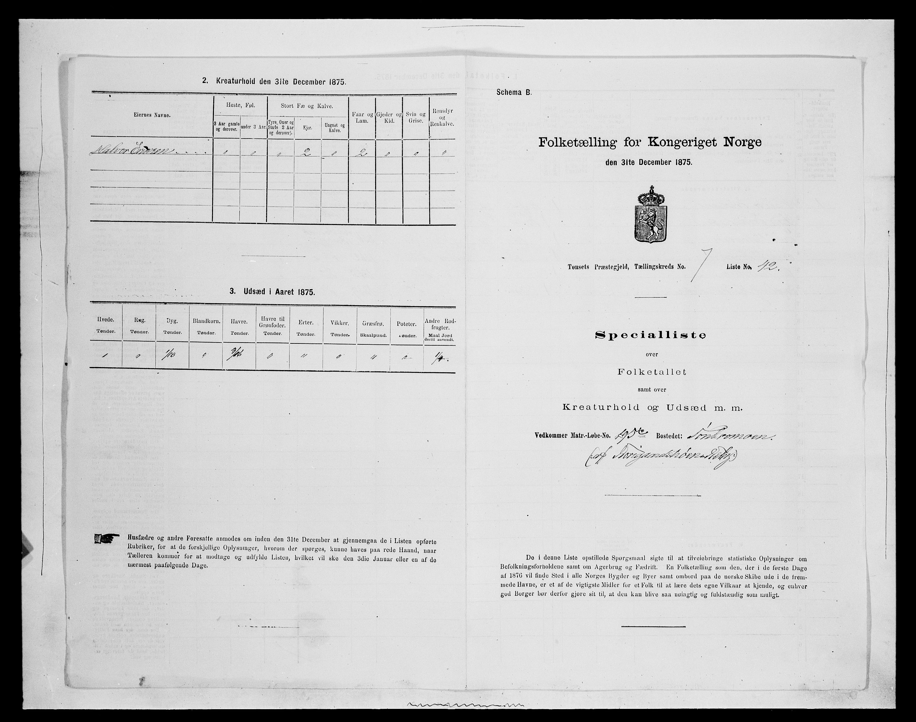 SAH, 1875 census for 0437P Tynset, 1875, p. 807