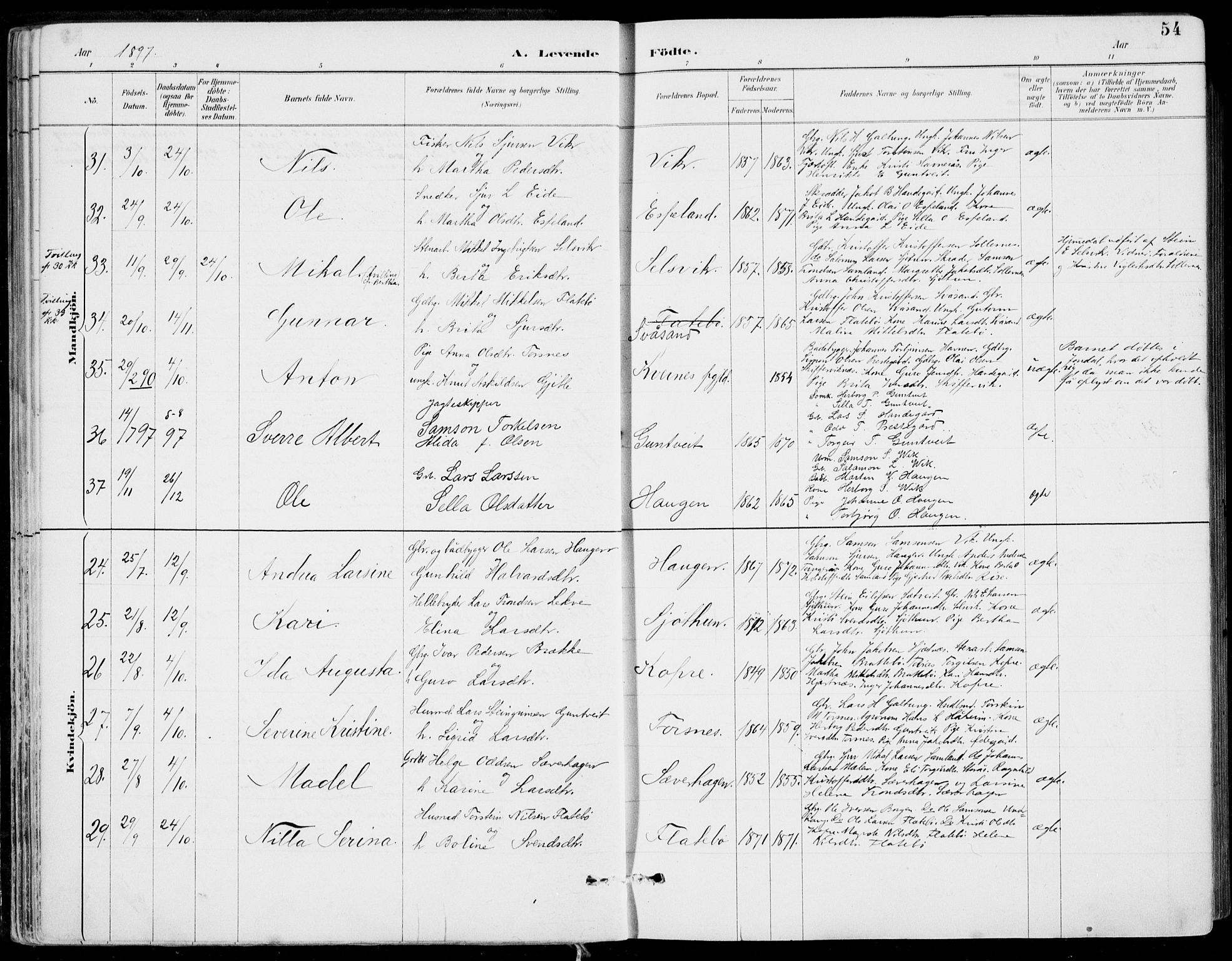 Strandebarm sokneprestembete, SAB/A-78401/H/Haa: Parish register (official) no. E  1, 1886-1908, p. 54