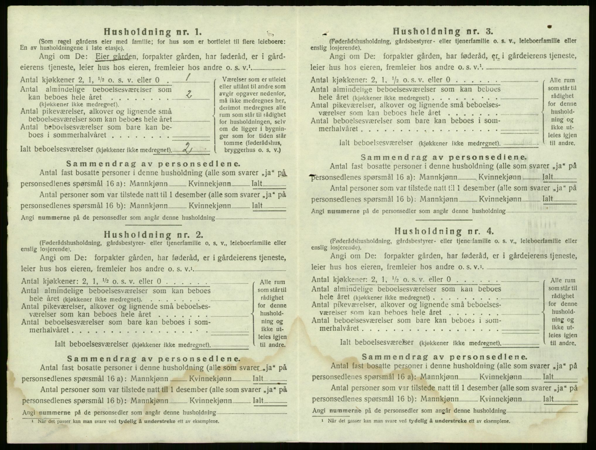 SAKO, 1920 census for Våle, 1920, p. 970