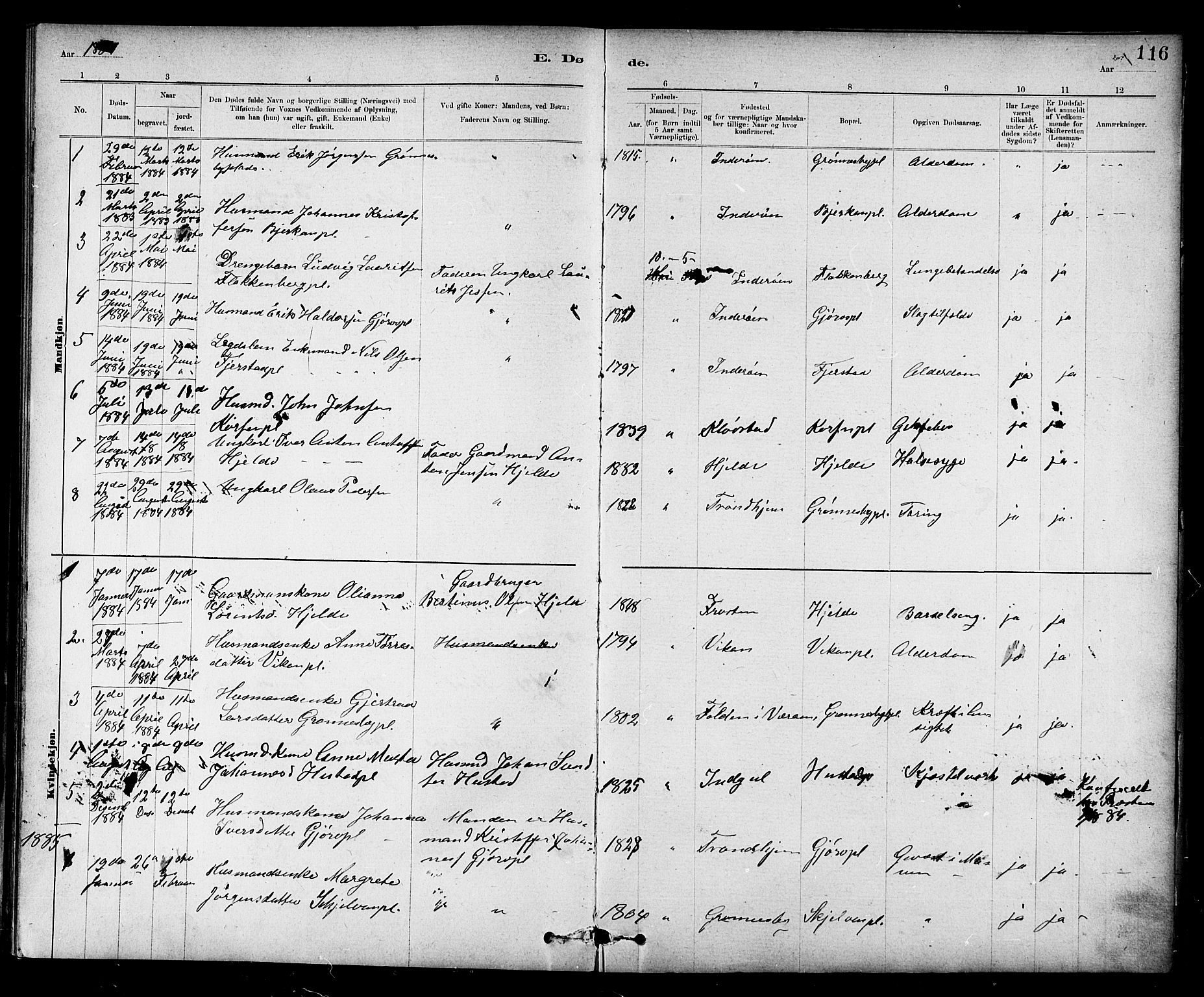 Ministerialprotokoller, klokkerbøker og fødselsregistre - Nord-Trøndelag, SAT/A-1458/732/L0318: Parish register (copy) no. 732C02, 1881-1911, p. 116