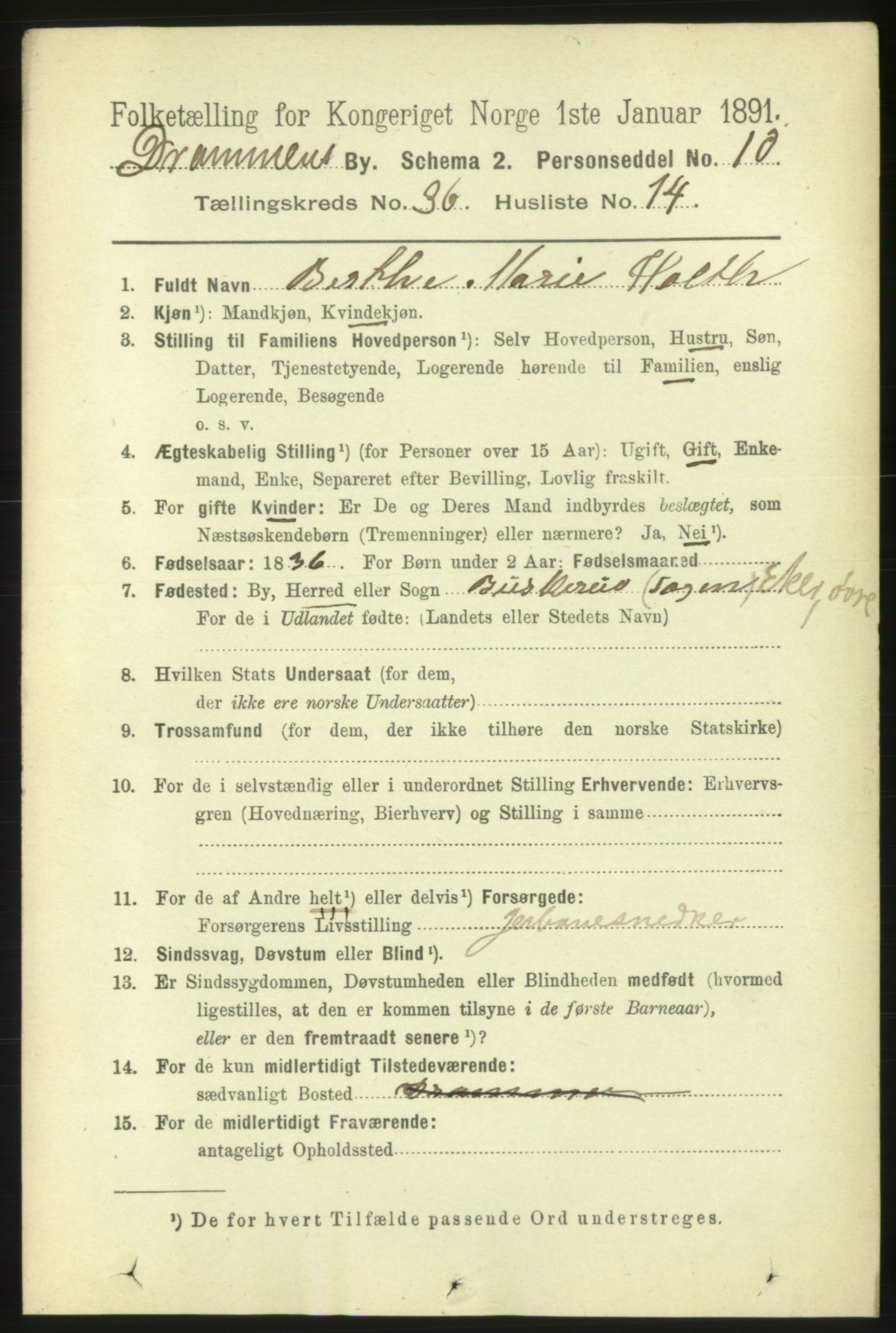 RA, 1891 census for 0602 Drammen, 1891, p. 22297
