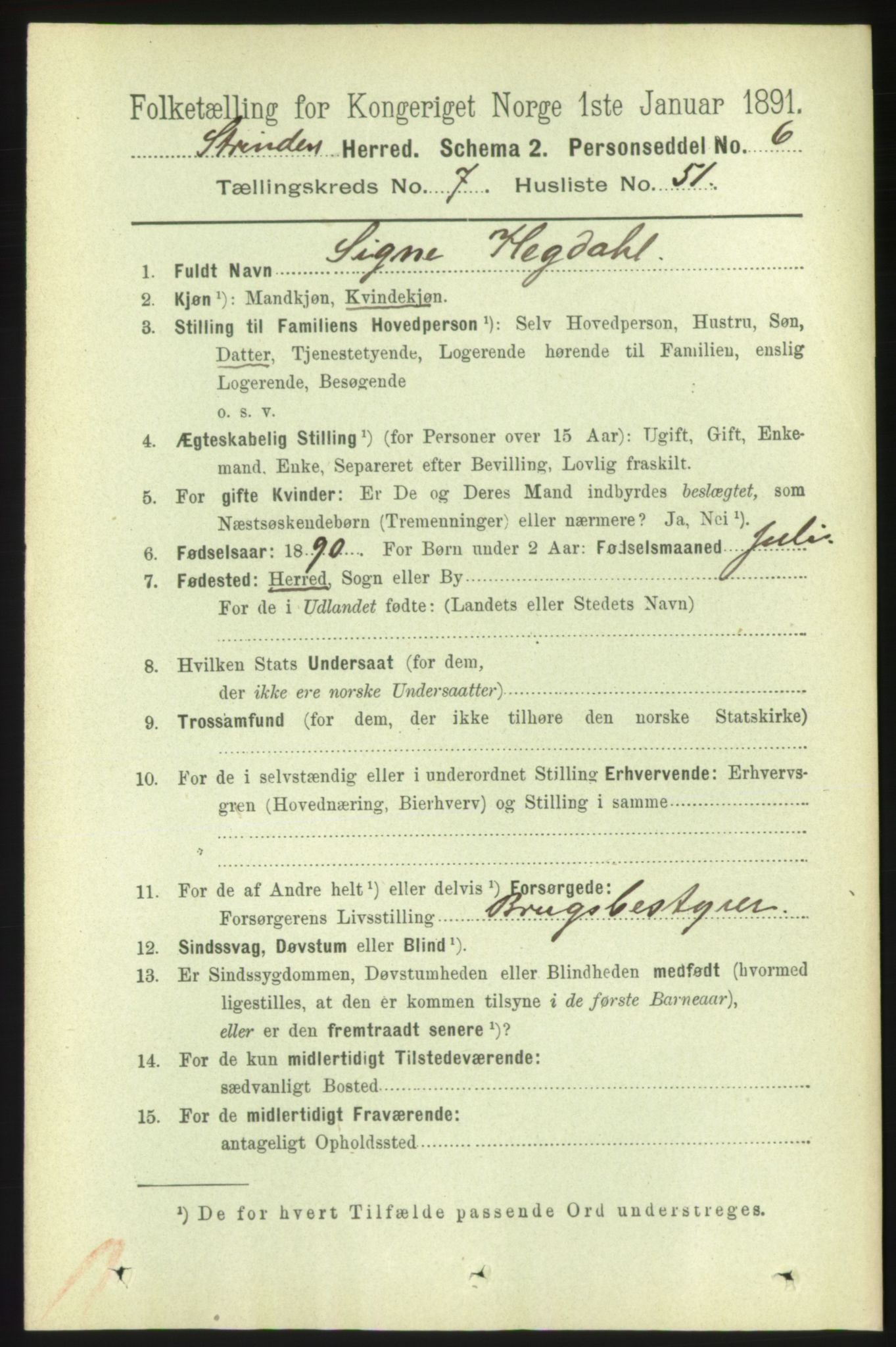 RA, 1891 census for 1660 Strinda, 1891, p. 6595