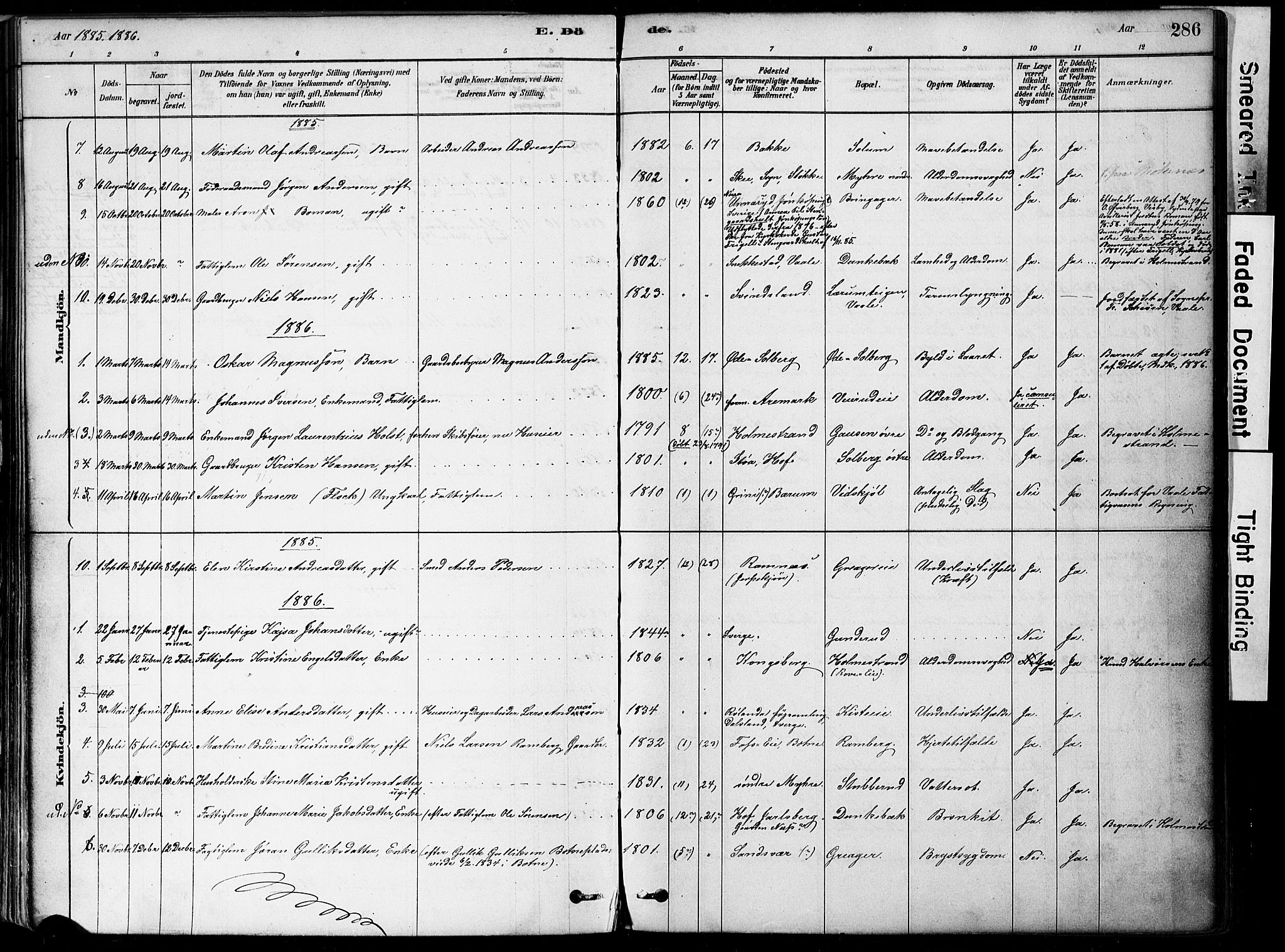 Botne kirkebøker, SAKO/A-340/F/Fa/L0007: Parish register (official) no. I 7, 1878-1910, p. 286