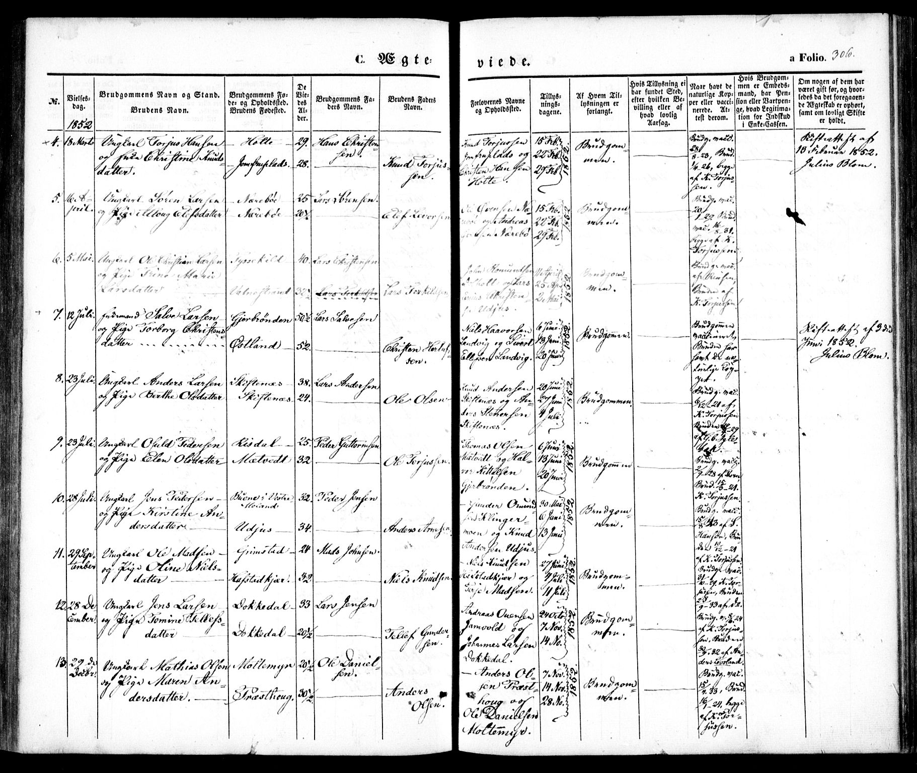 Hommedal sokneprestkontor, AV/SAK-1111-0023/F/Fa/Fab/L0004: Parish register (official) no. A 4, 1848-1860, p. 306