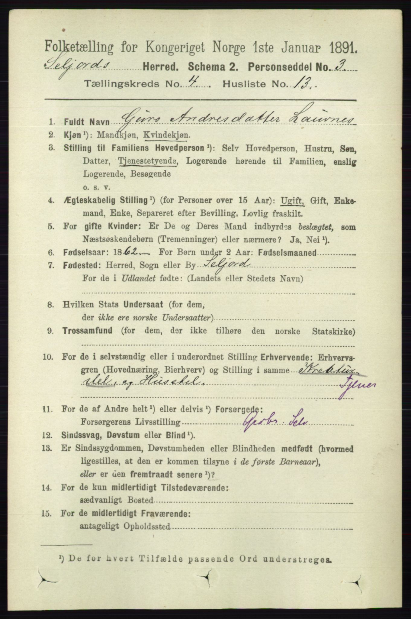 RA, 1891 census for 0828 Seljord, 1891, p. 1357