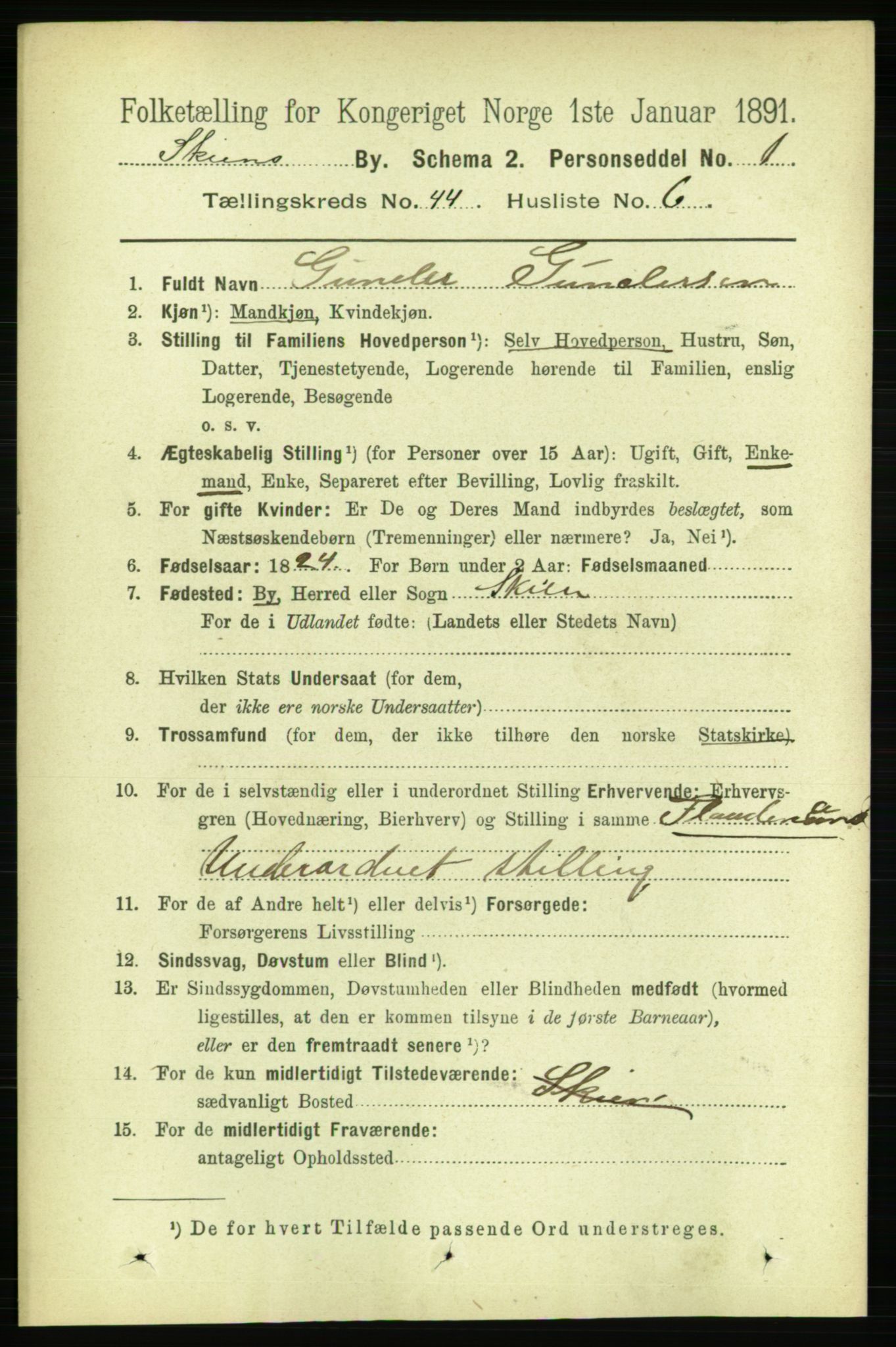 RA, 1891 census for 0806 Skien, 1891, p. 8818