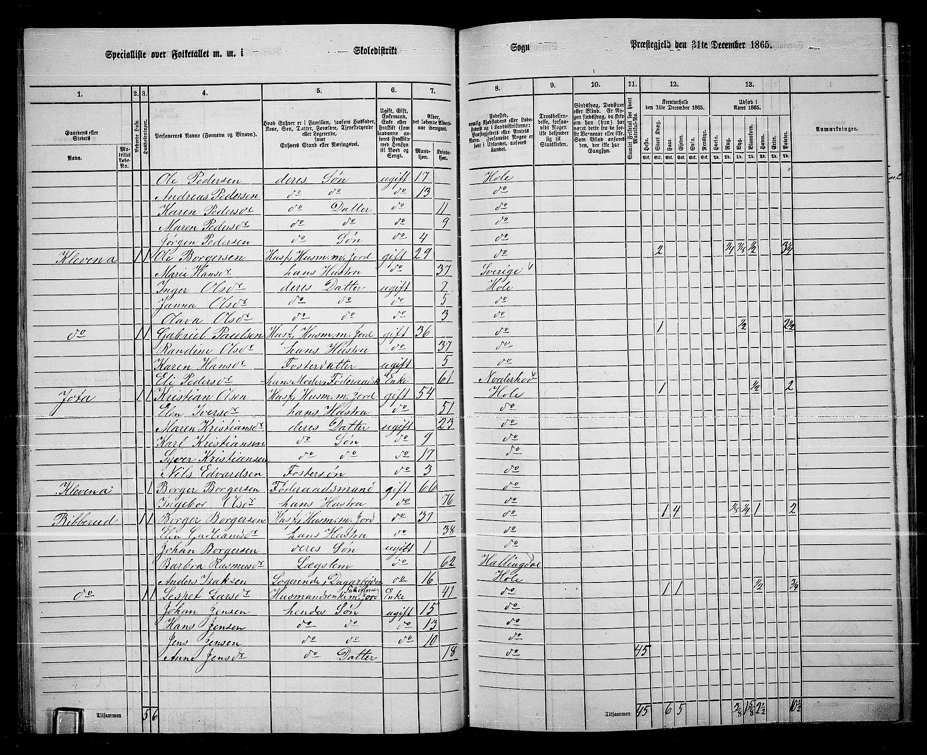 RA, 1865 census for Hole, 1865, p. 31