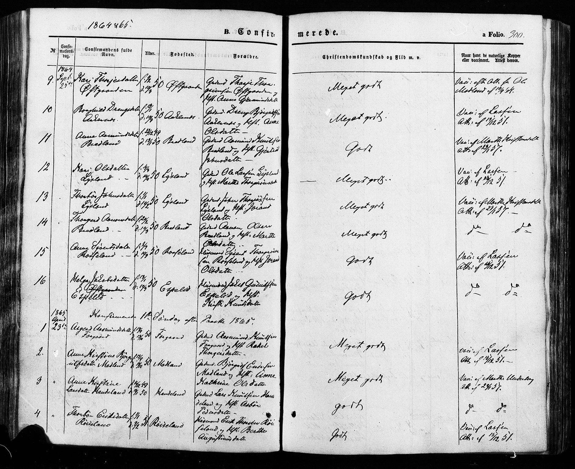 Åseral sokneprestkontor, SAK/1111-0051/F/Fa/L0002: Parish register (official) no. A 2, 1854-1884, p. 300