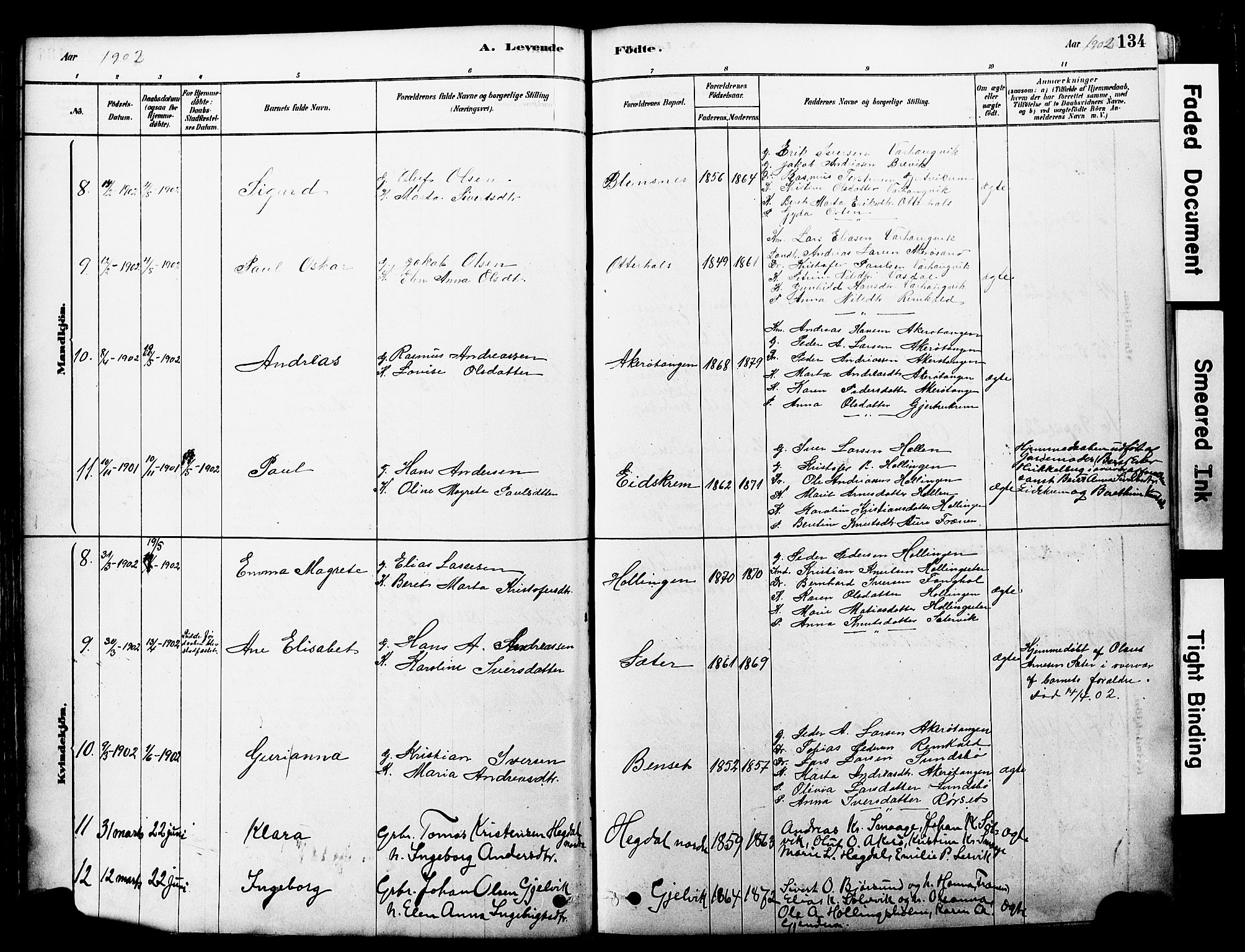 Ministerialprotokoller, klokkerbøker og fødselsregistre - Møre og Romsdal, AV/SAT-A-1454/560/L0721: Parish register (official) no. 560A05, 1878-1917, p. 134