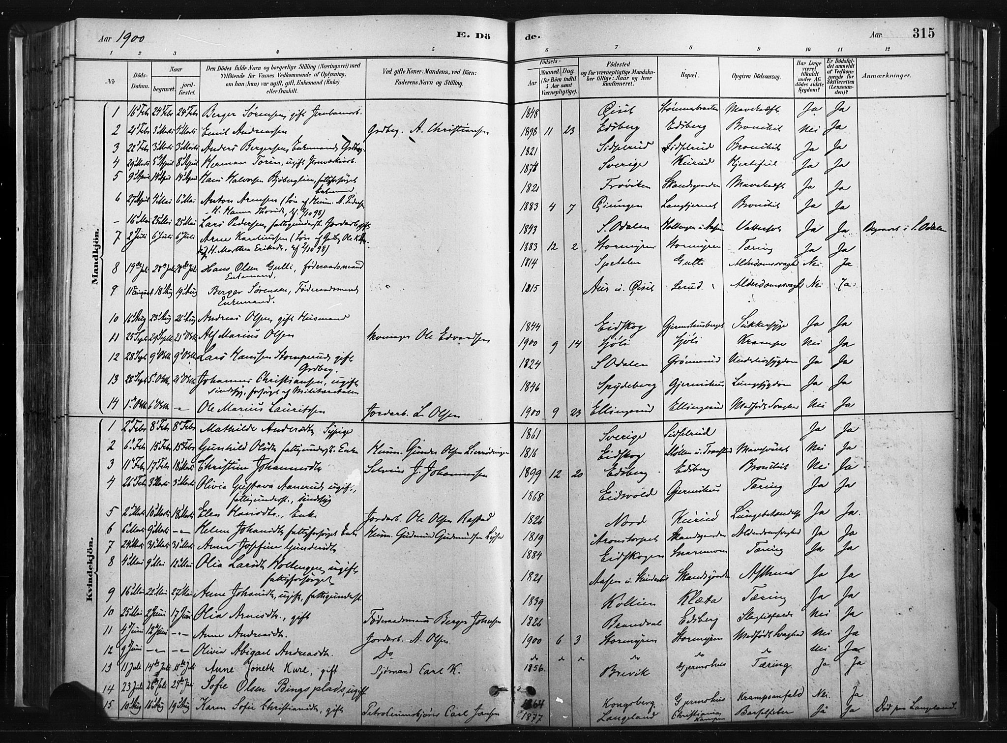 Vinger prestekontor, SAH/PREST-024/H/Ha/Haa/L0014: Parish register (official) no. 14, 1881-1900, p. 315