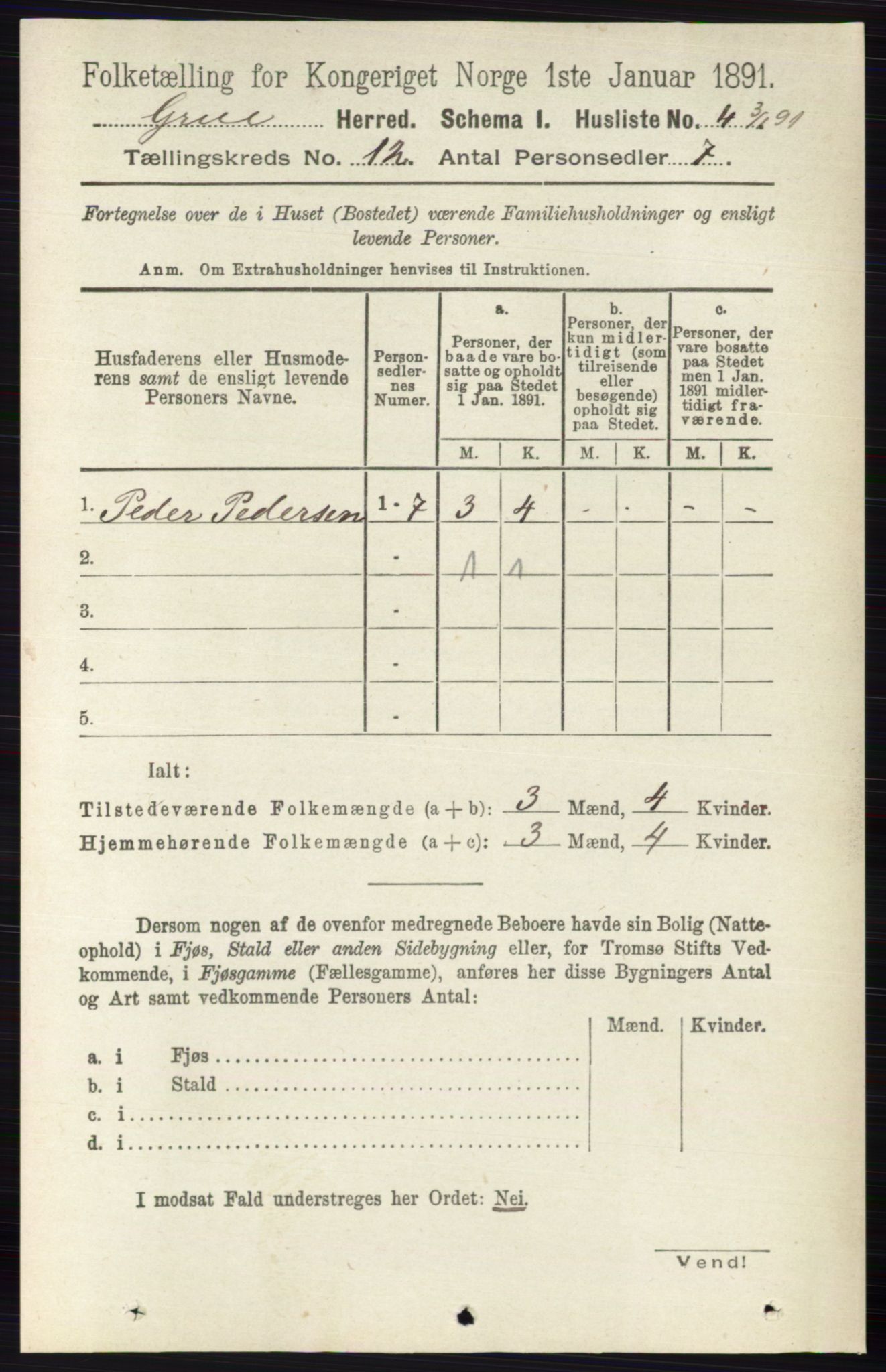 RA, 1891 census for 0423 Grue, 1891, p. 6062