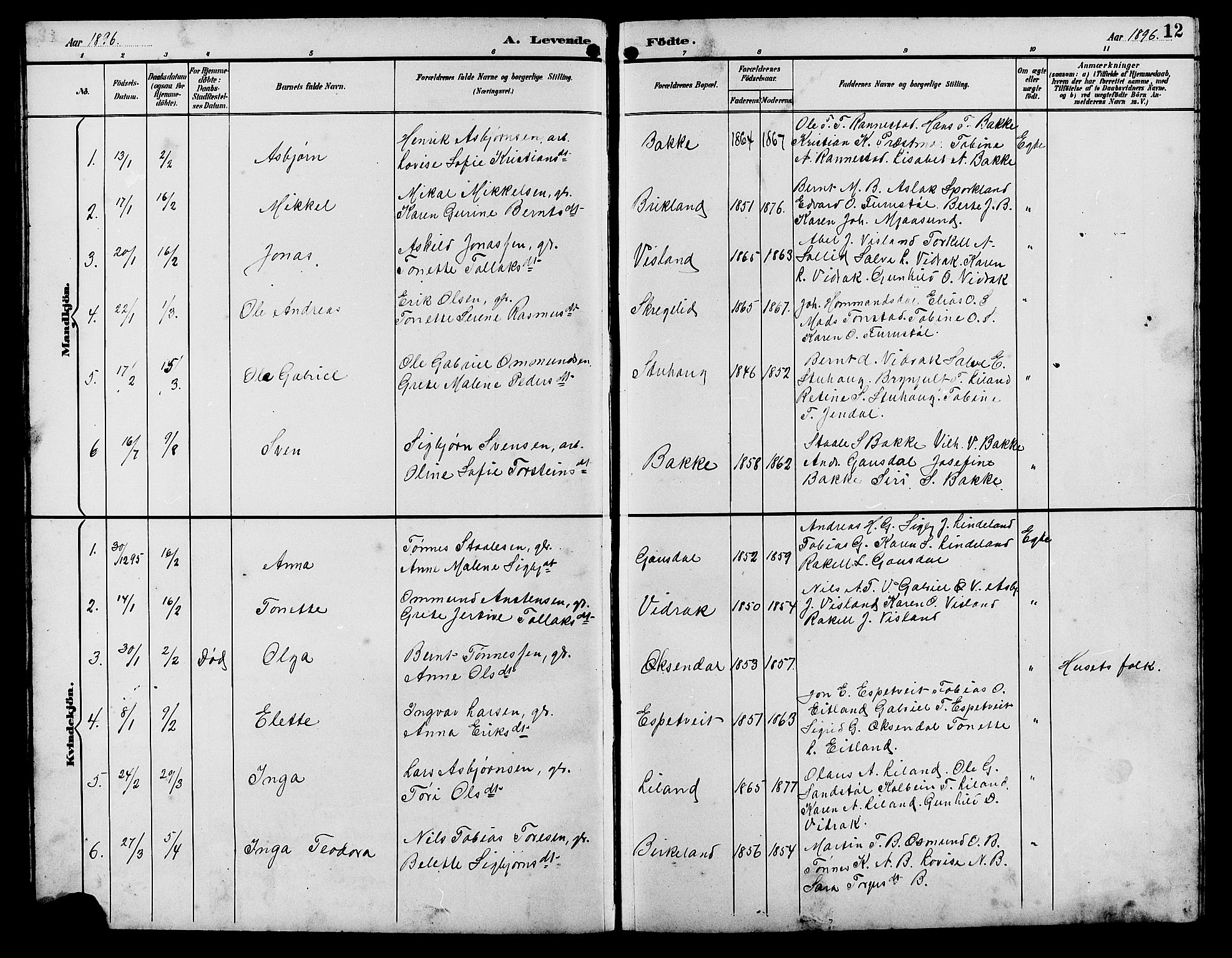 Bakke sokneprestkontor, SAK/1111-0002/F/Fb/Fba/L0003: Parish register (copy) no. B 3, 1894-1910, p. 12