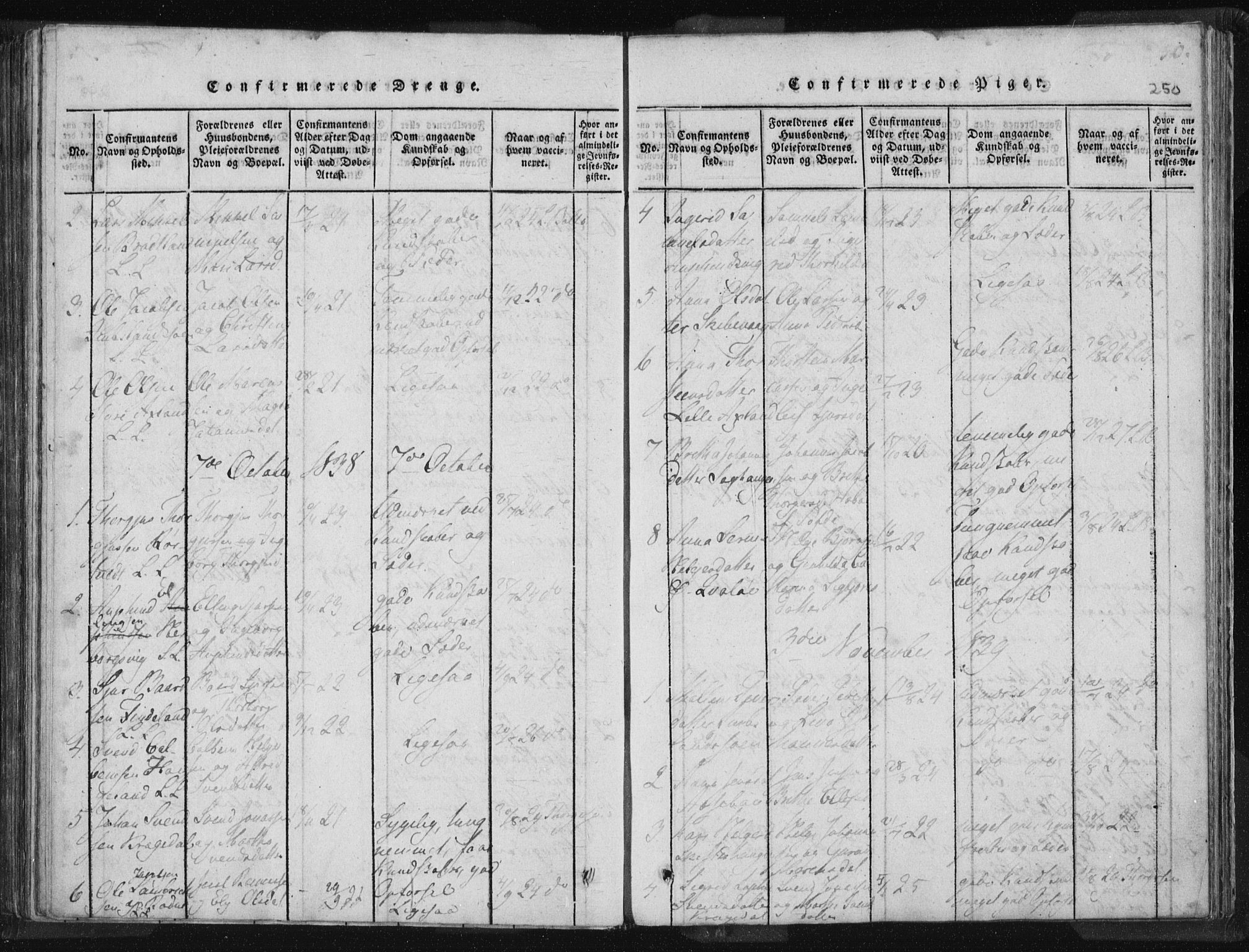 Vikedal sokneprestkontor, AV/SAST-A-101840/01/IV: Parish register (official) no. A 5, 1817-1850, p. 250