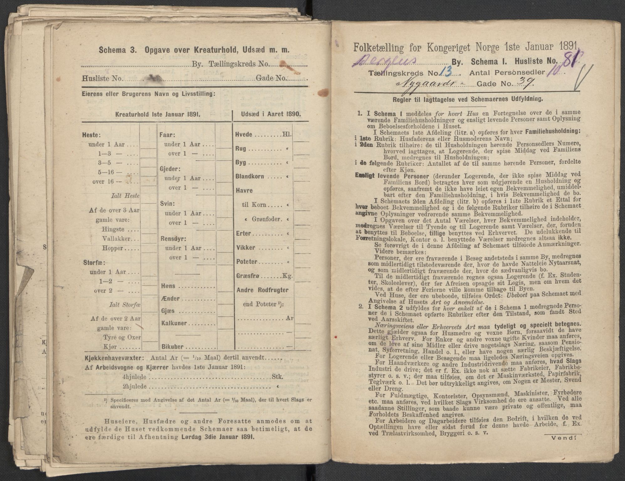 RA, 1891 Census for 1301 Bergen, 1891, p. 2161