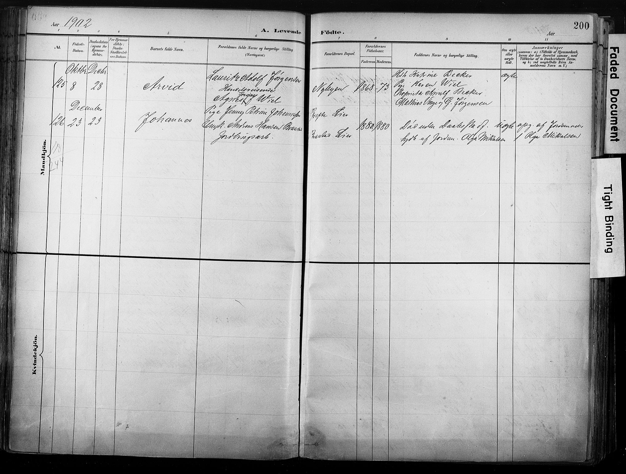Strømsø kirkebøker, SAKO/A-246/G/Ga/L0003: Parish register (copy) no. 3, 1894-1904, p. 200