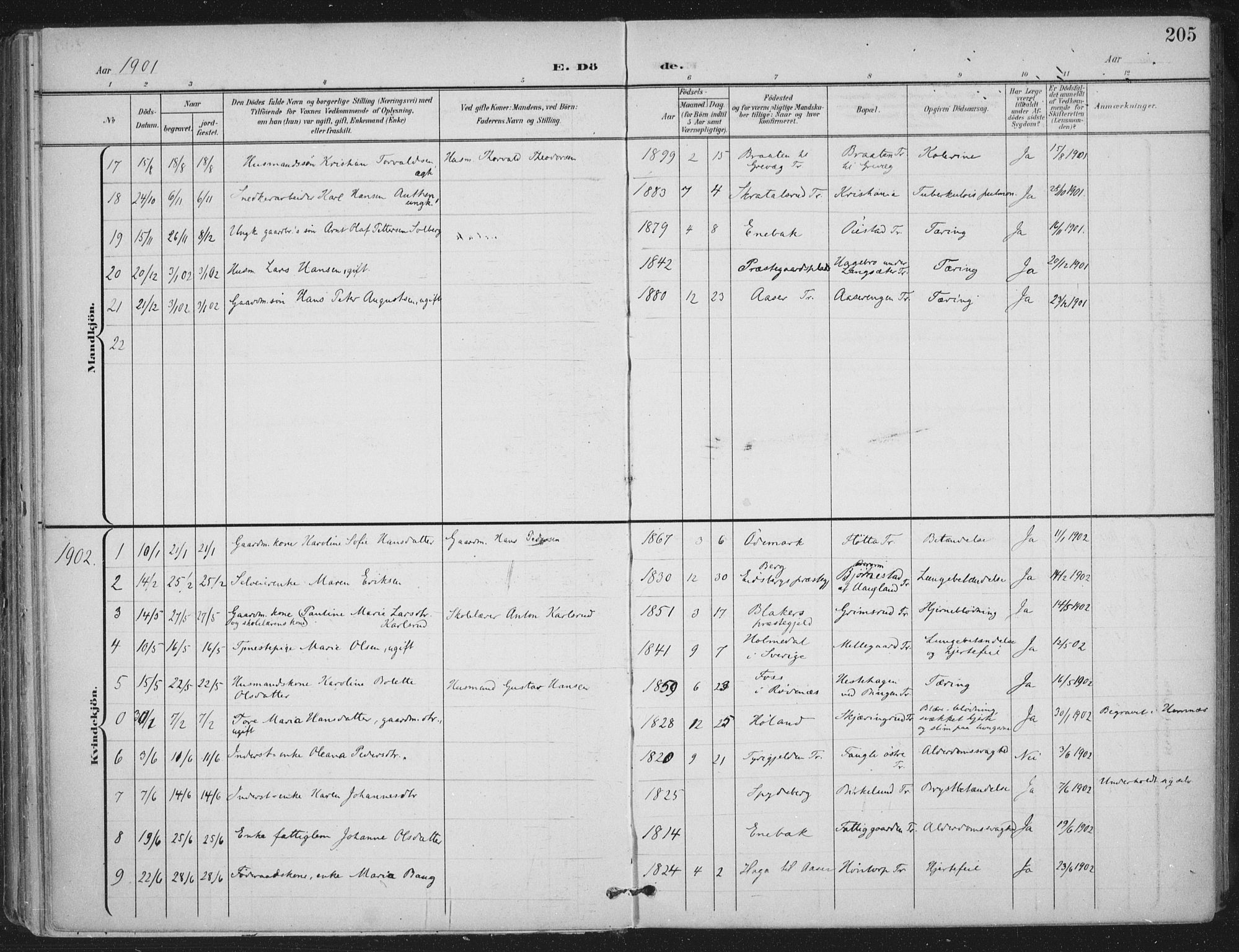 Trøgstad prestekontor Kirkebøker, AV/SAO-A-10925/F/Fa/L0011: Parish register (official) no. I 11, 1899-1919, p. 205