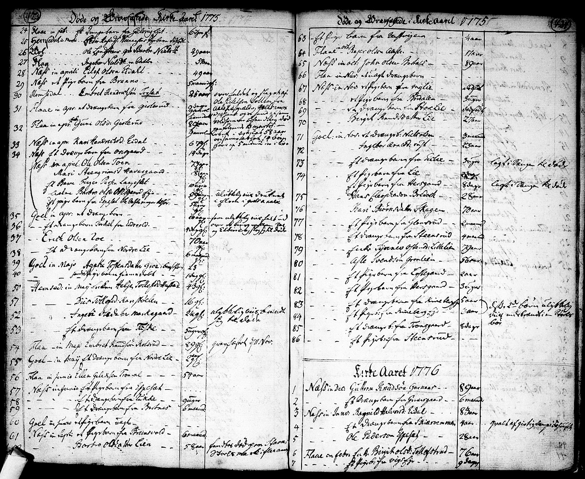 Nes kirkebøker, AV/SAKO-A-236/F/Fa/L0004: Parish register (official) no. 4, 1764-1786, p. 423-424