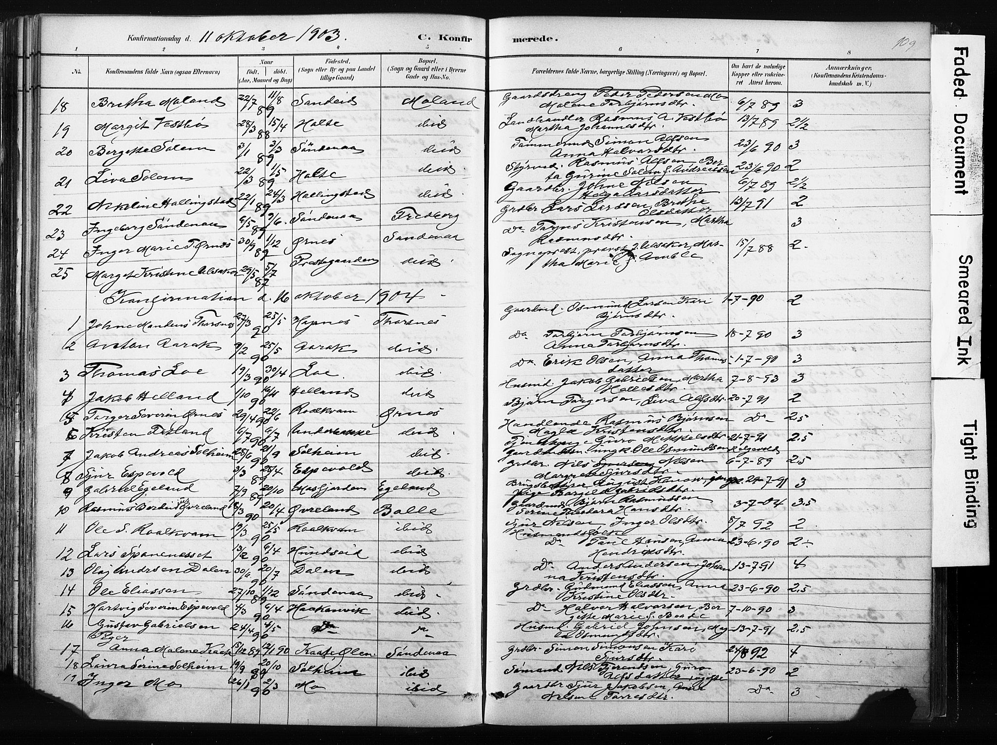 Vikedal sokneprestkontor, AV/SAST-A-101840/01/IV: Parish register (official) no. A 10, 1884-1907, p. 109