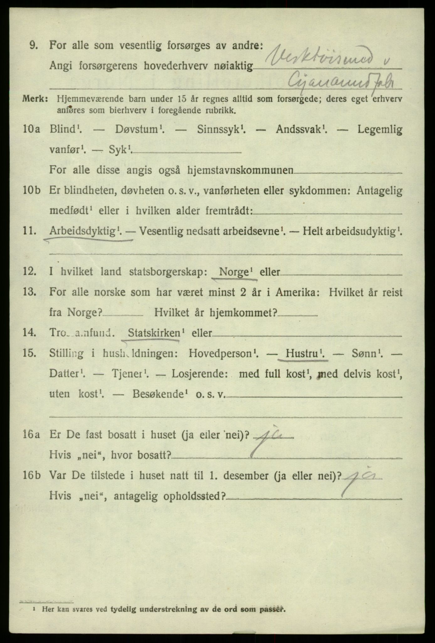 SAB, 1920 census for Odda, 1920, p. 3994