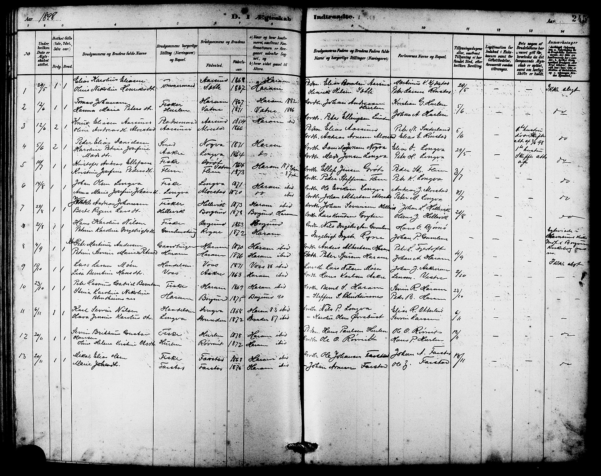 Ministerialprotokoller, klokkerbøker og fødselsregistre - Møre og Romsdal, AV/SAT-A-1454/536/L0510: Parish register (copy) no. 536C05, 1881-1898, p. 245